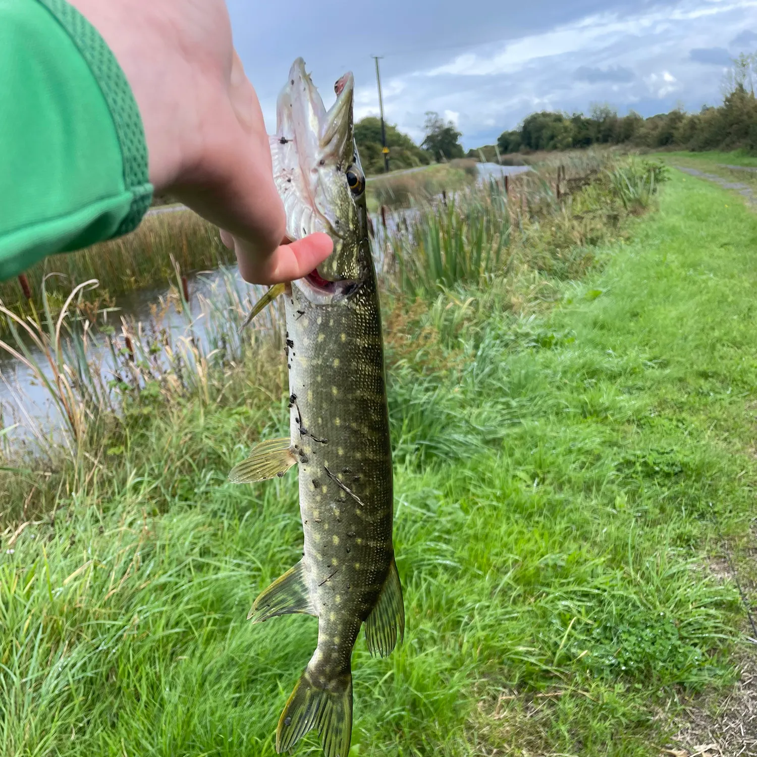 catch