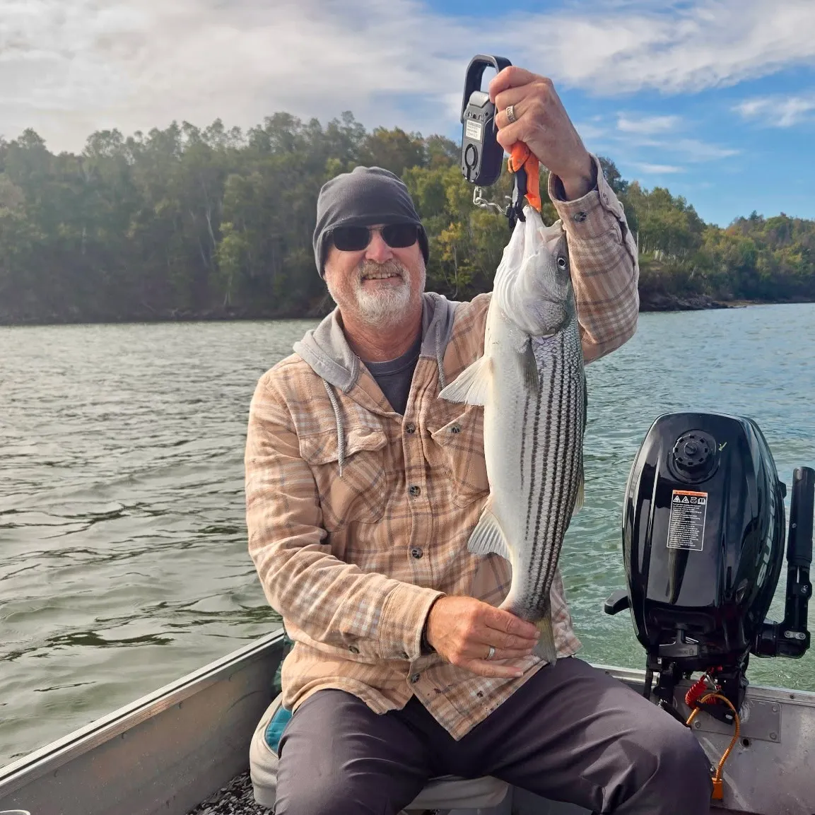 Striped bass caught on Fishbrain