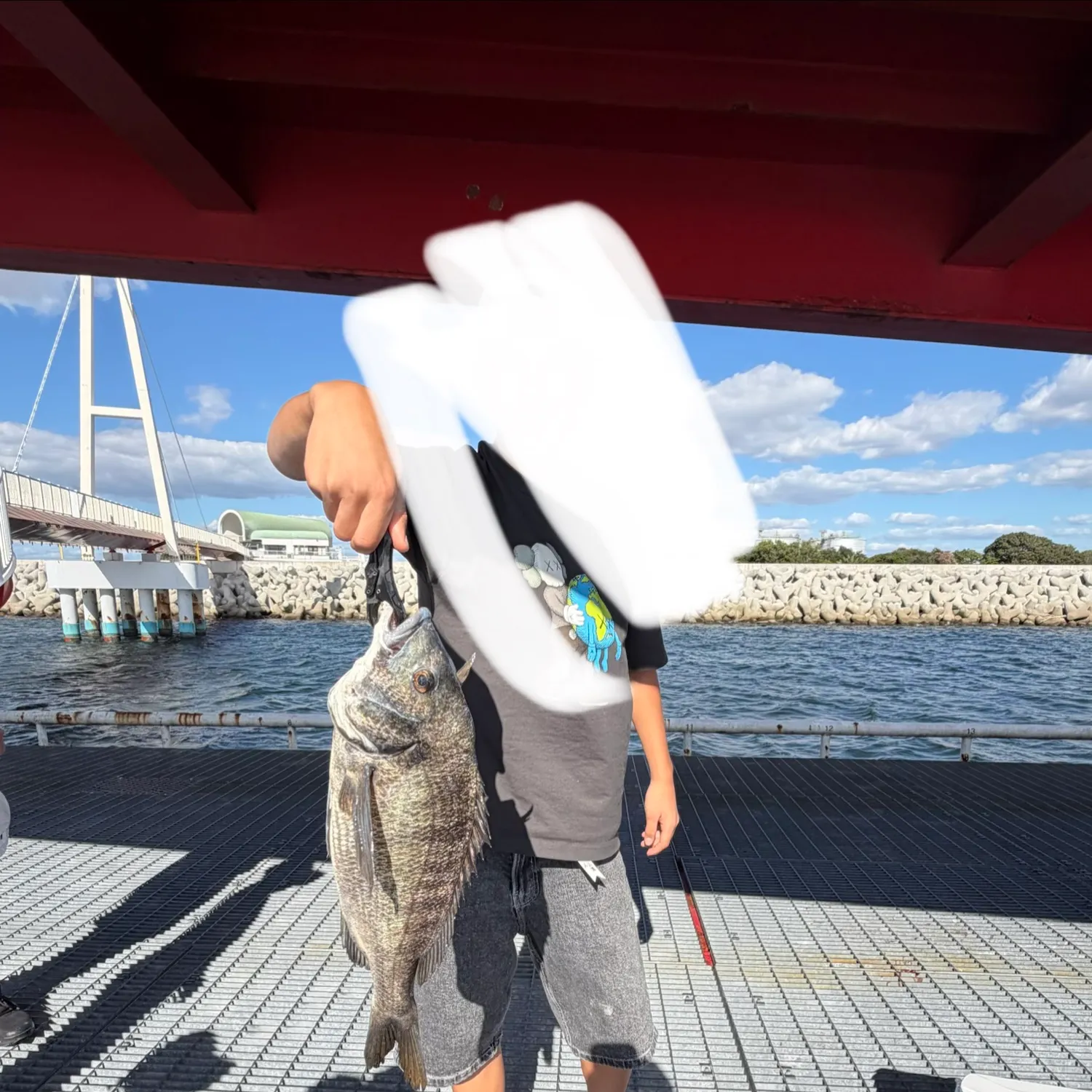 The most recent Blackhead seabream catches on Fishbrain