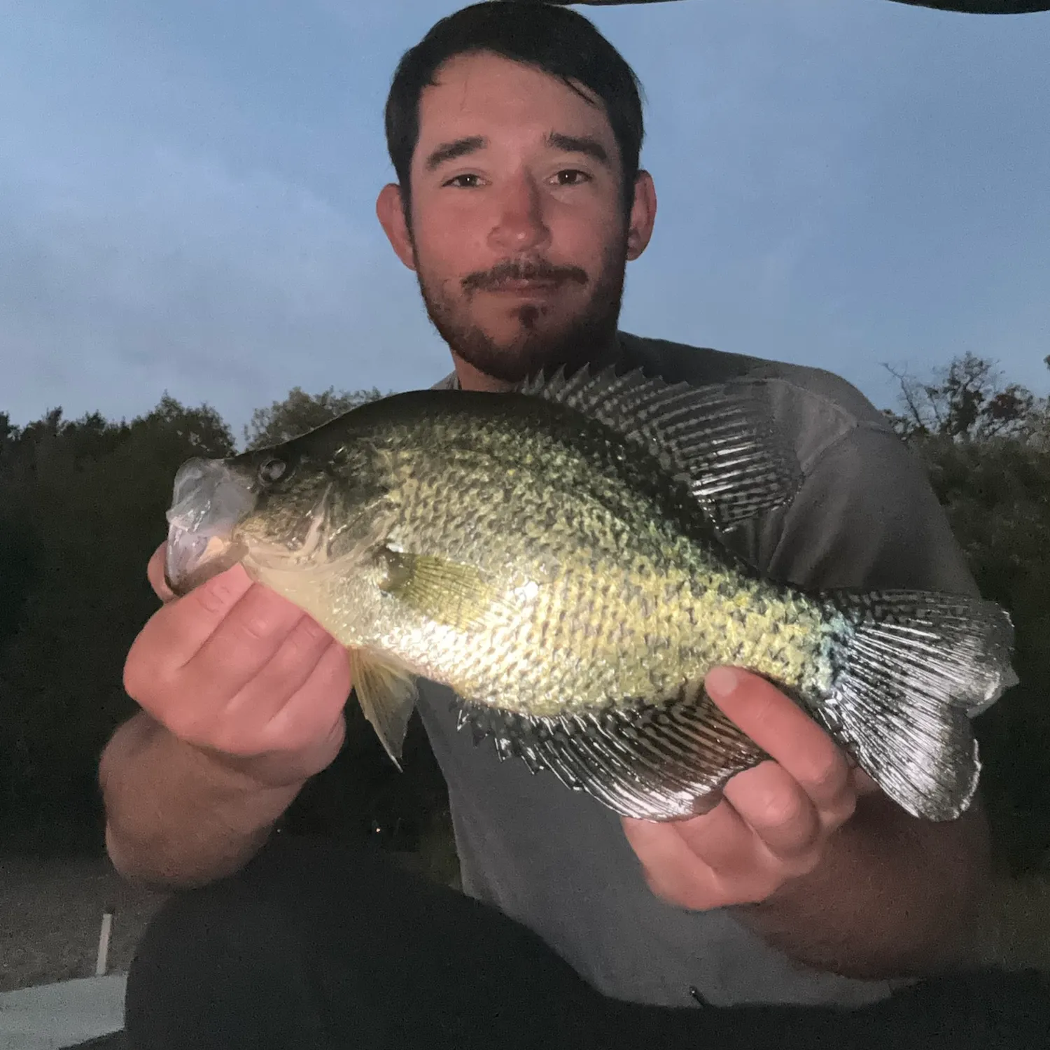 Black crappie caught on Fishbrain