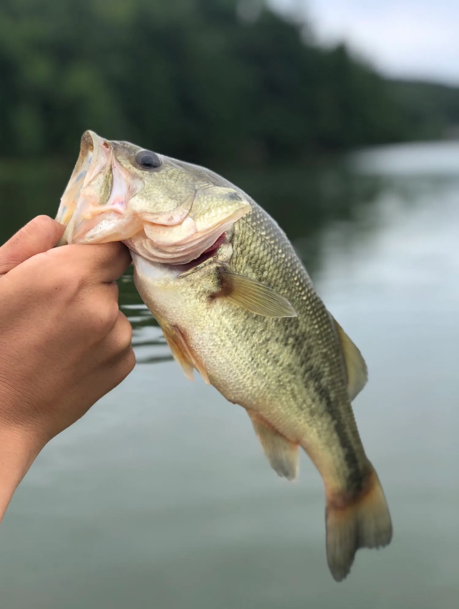 Post image from xmu4502