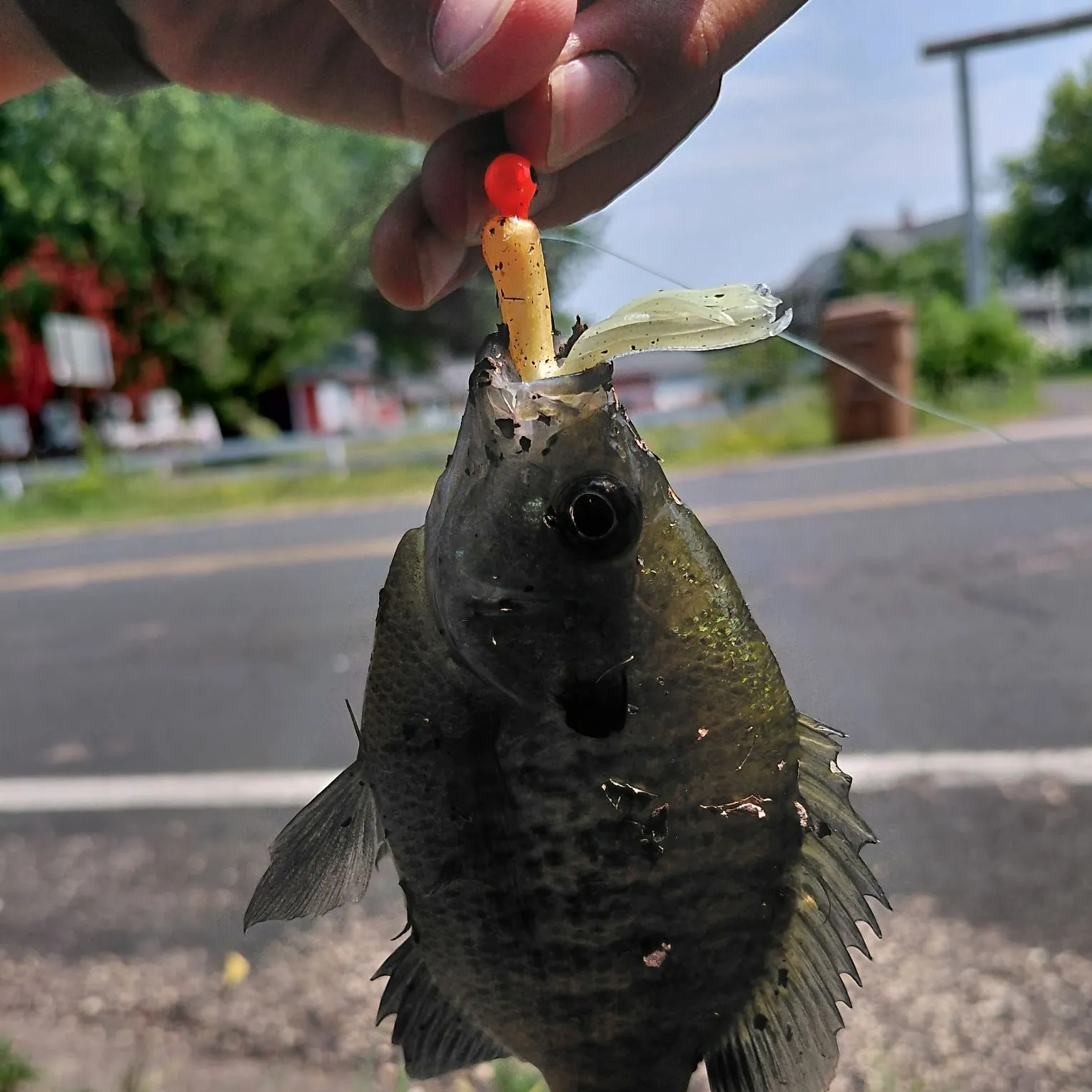 catch