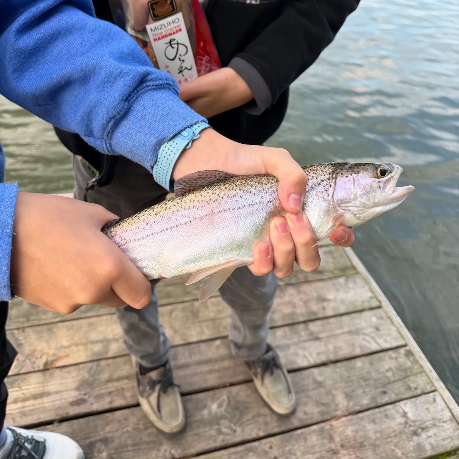 Rainbow trout caught on Fishbrain