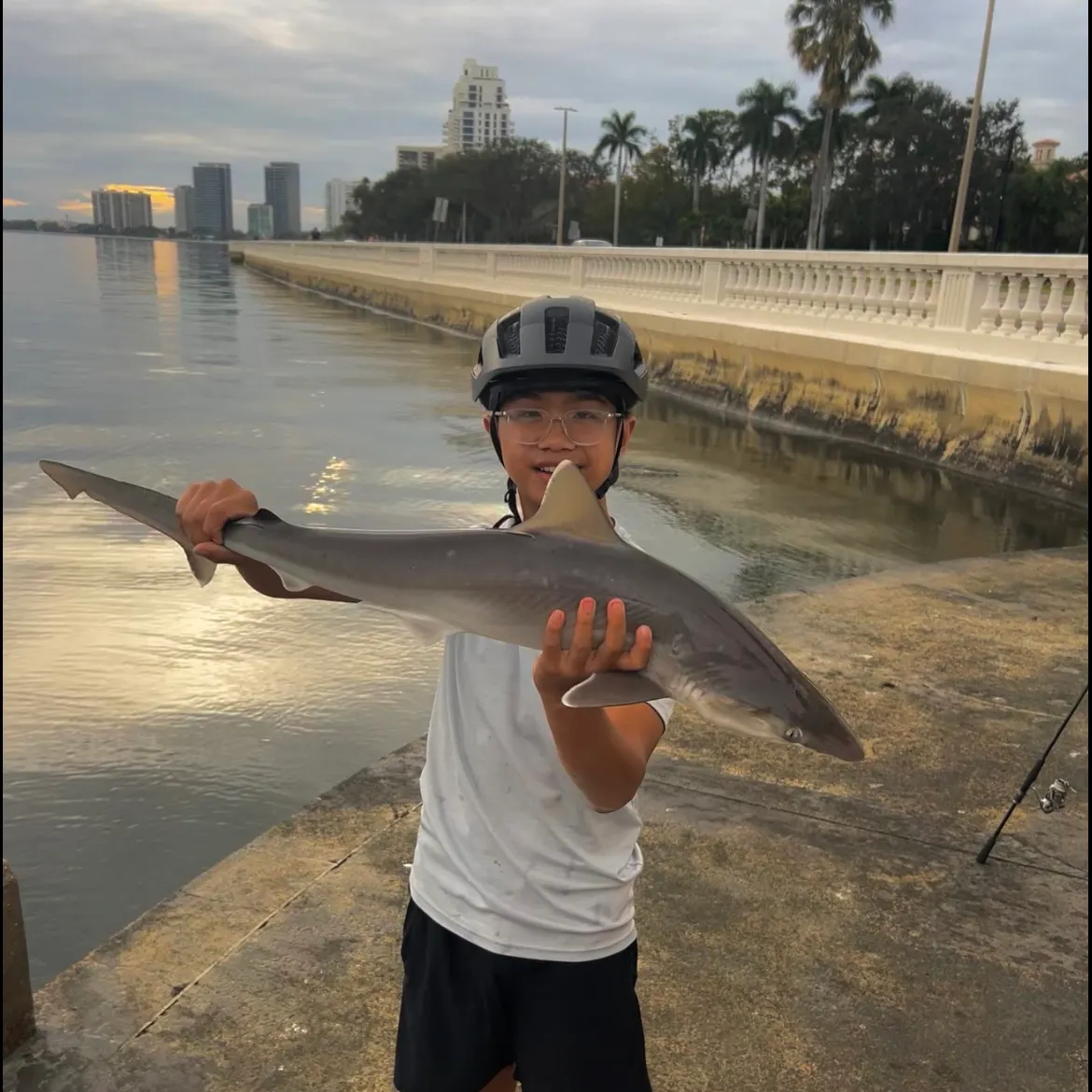 The most recent Atlantic sharpnose shark catches on Fishbrain