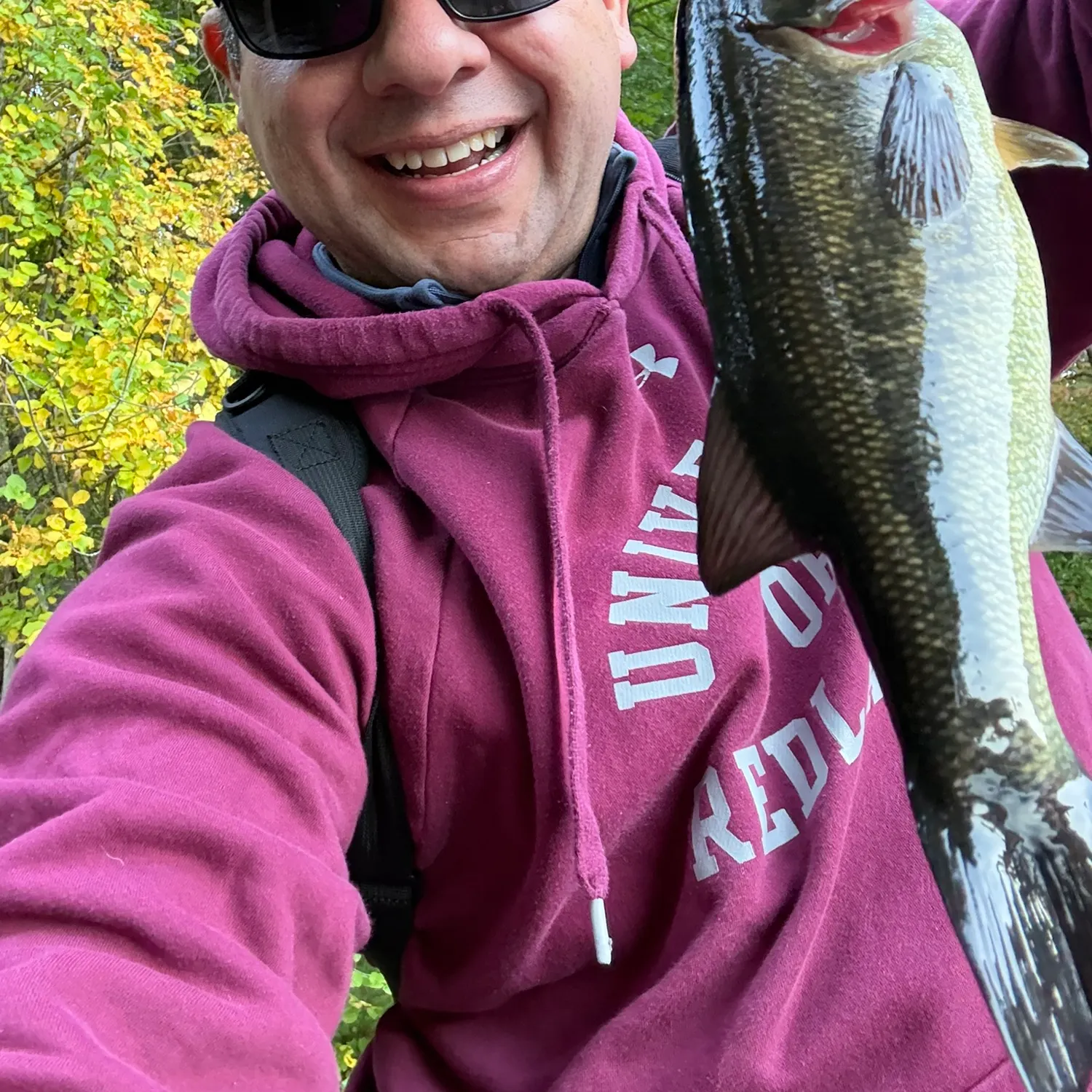 Largemouth bass caught on Fishbrain
