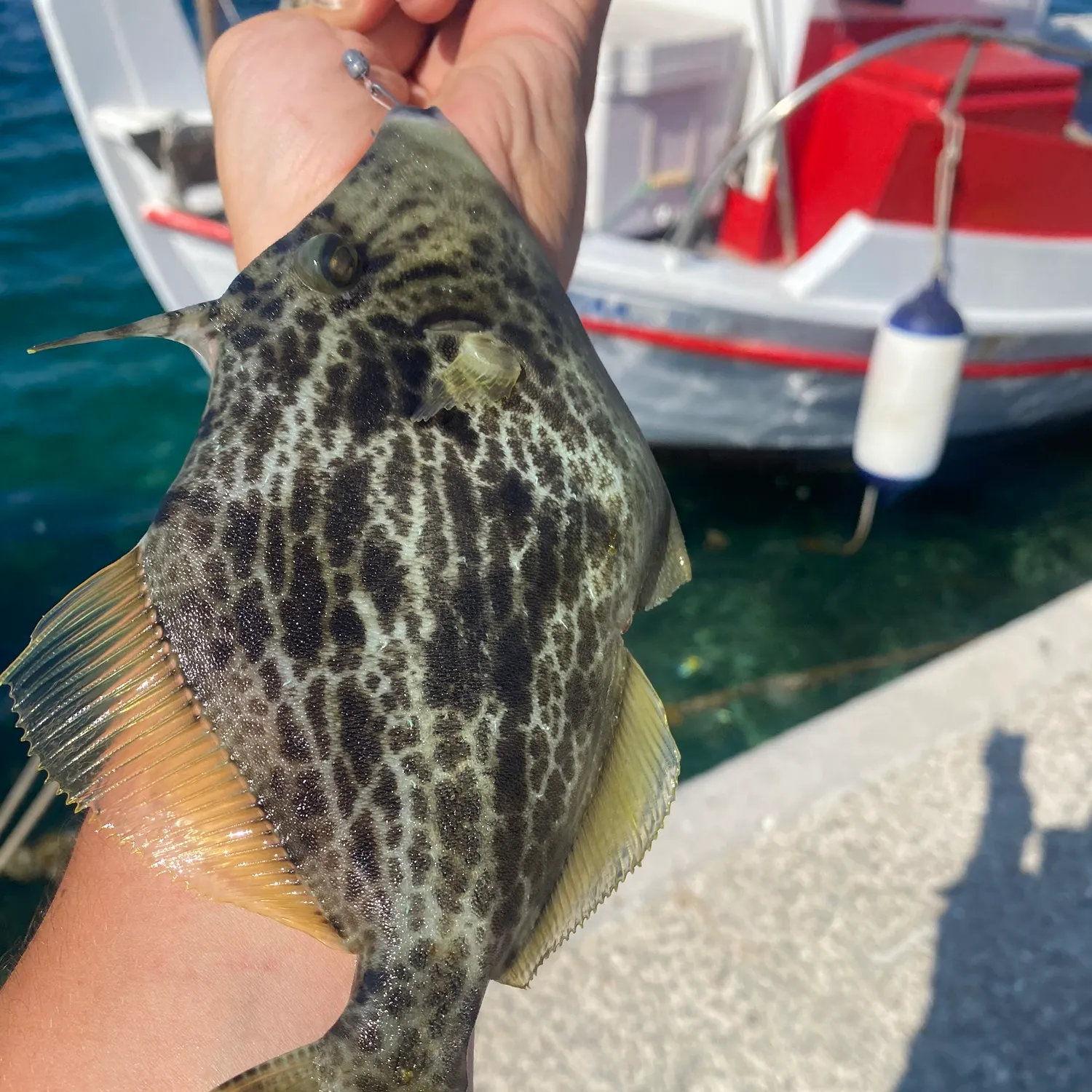 most liked catch image