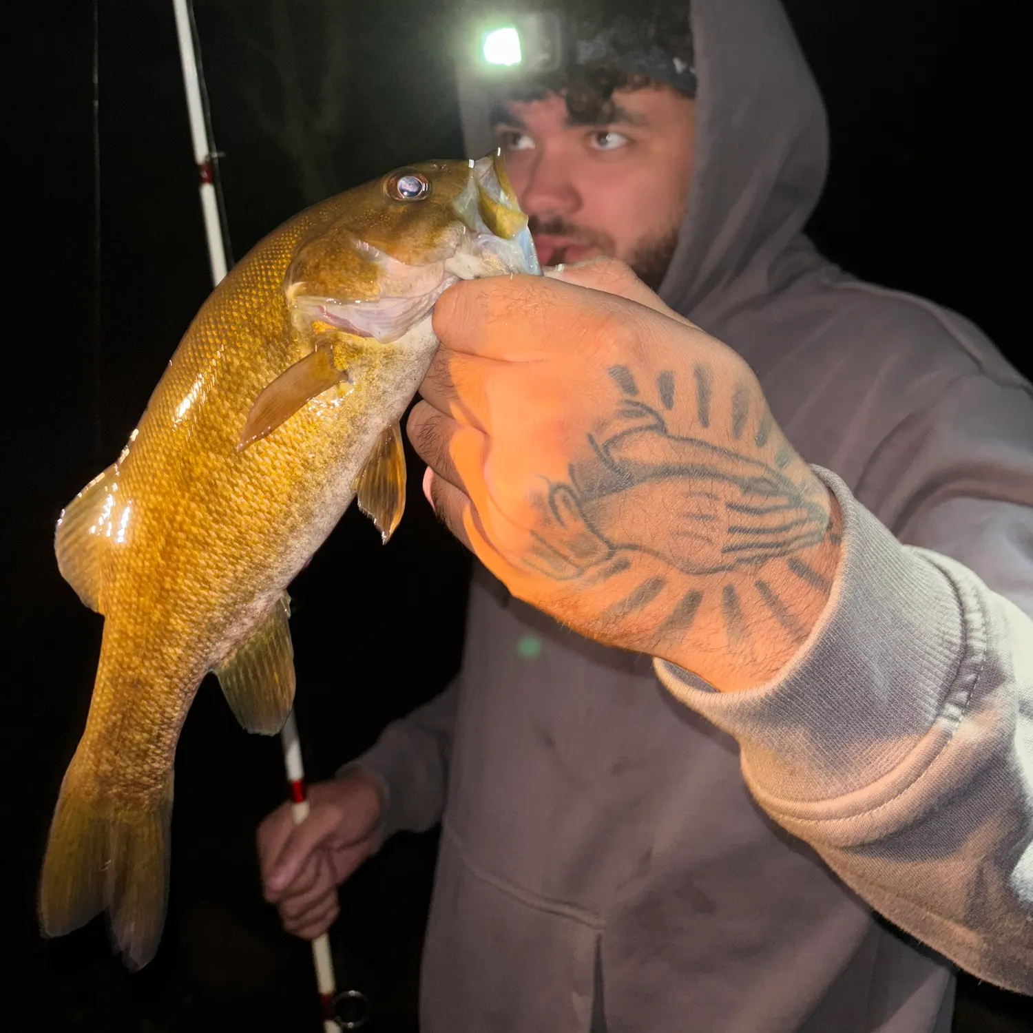 Smallmouth bass caught on Fishbrain