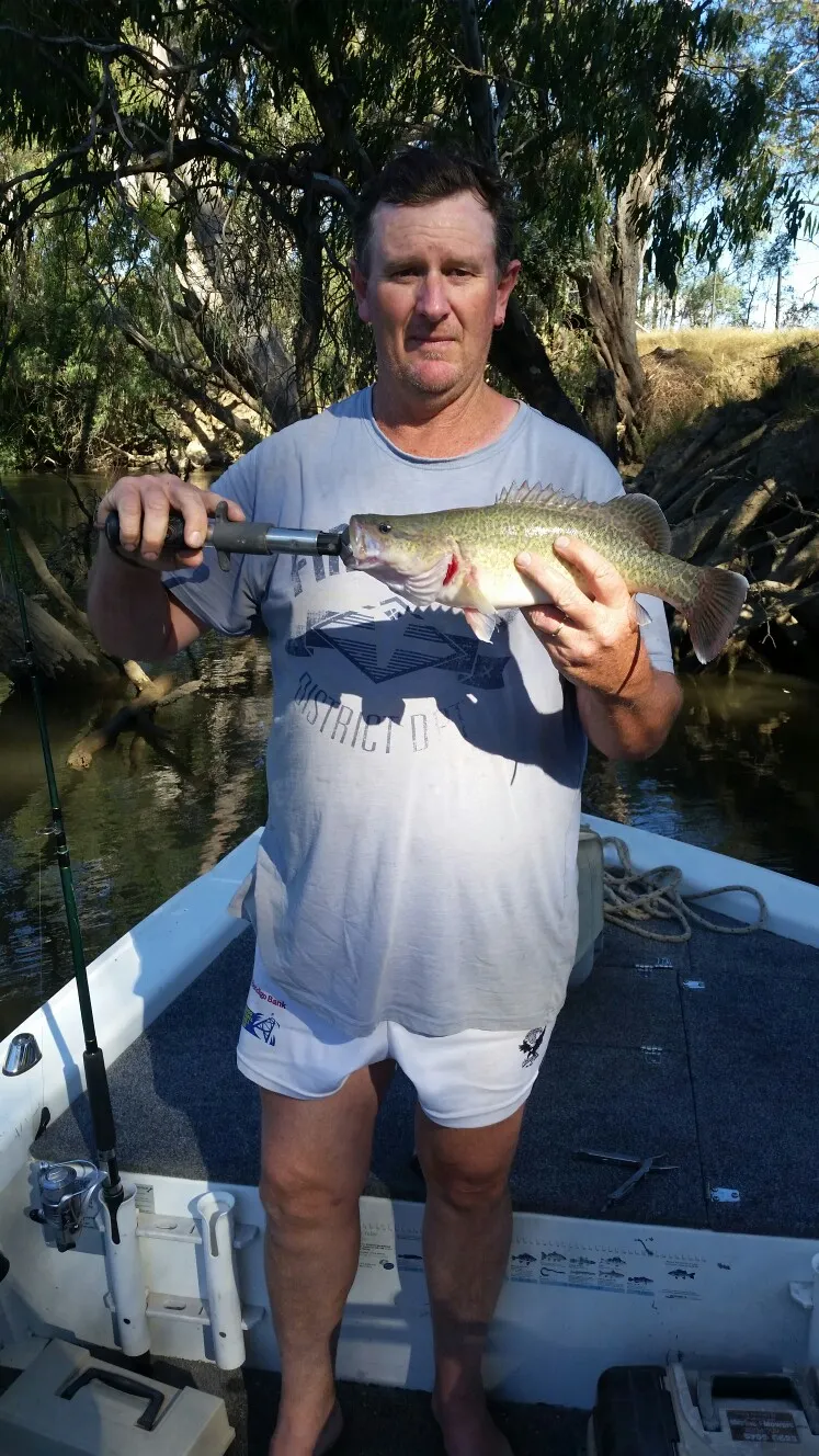 Post image from Bitemee