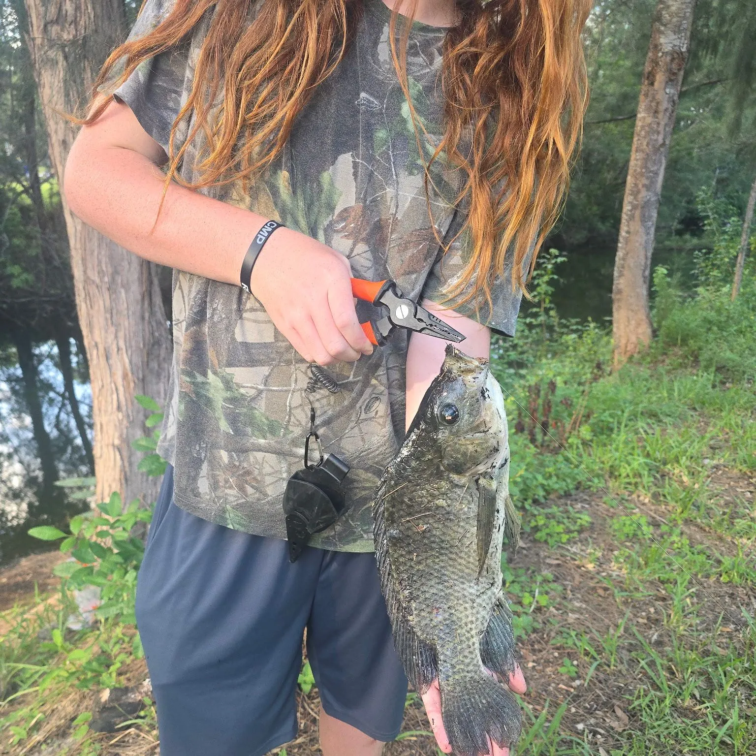 The most recent Nile tilapia catches on Fishbrain