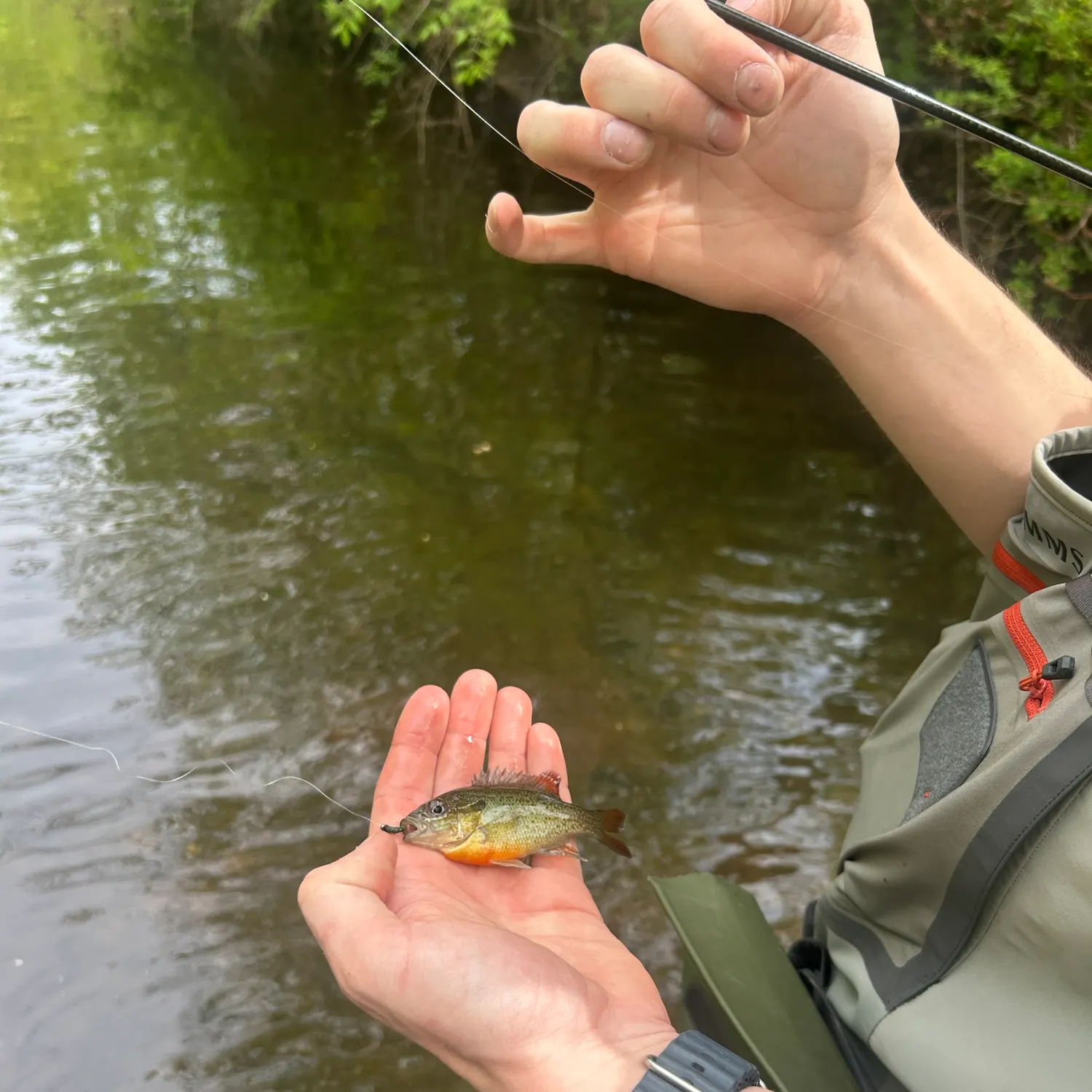 catch