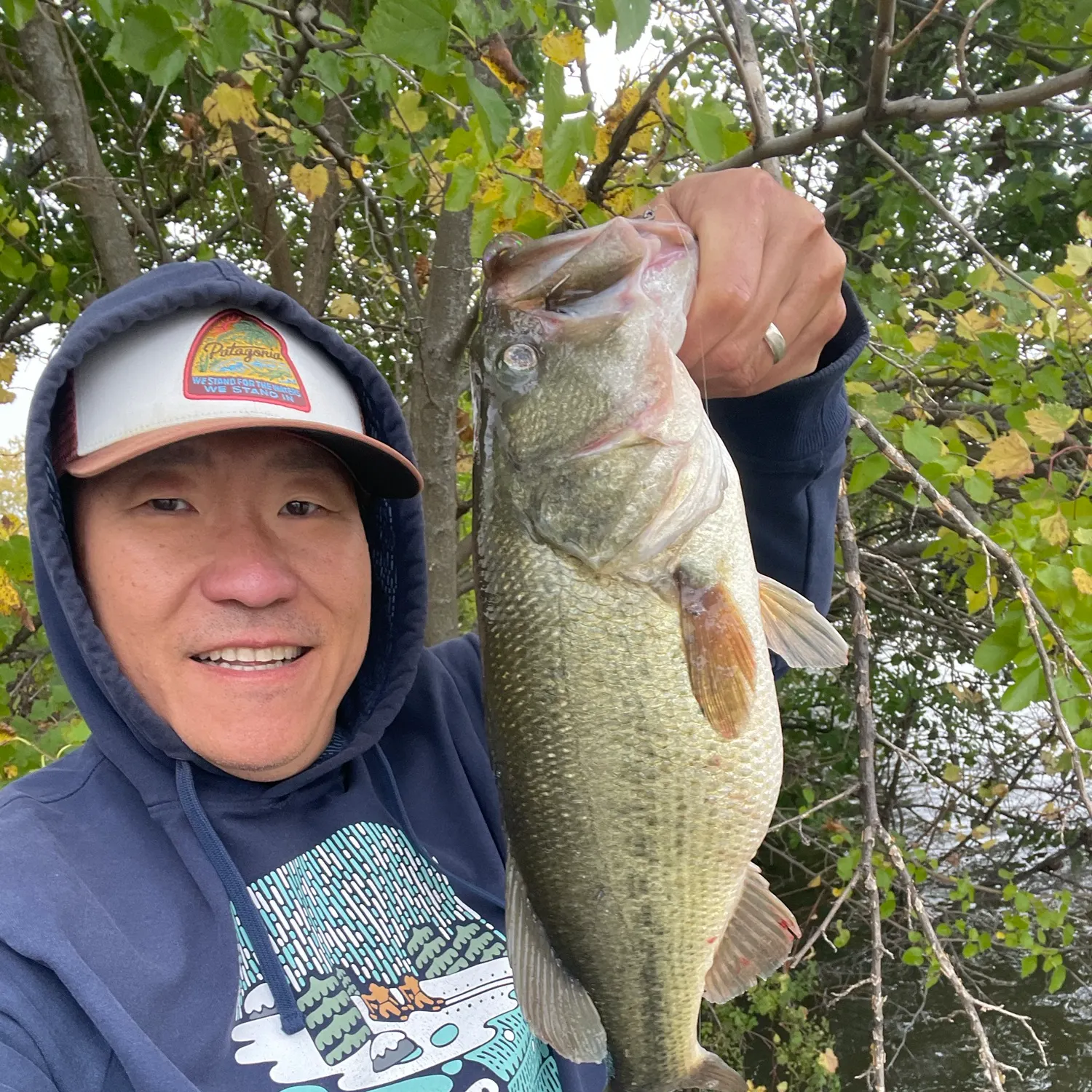 Largemouth bass caught on Fishbrain