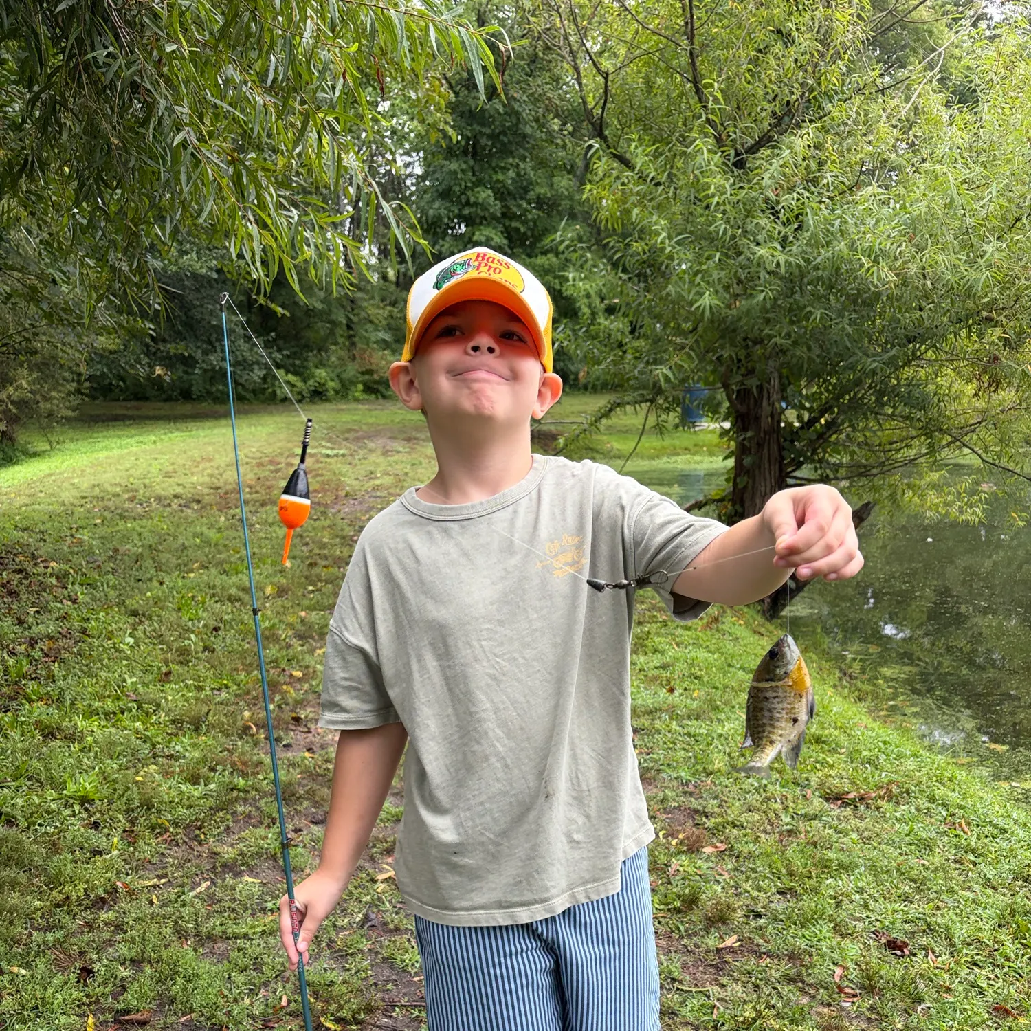 Bluegill caught on Fishbrain