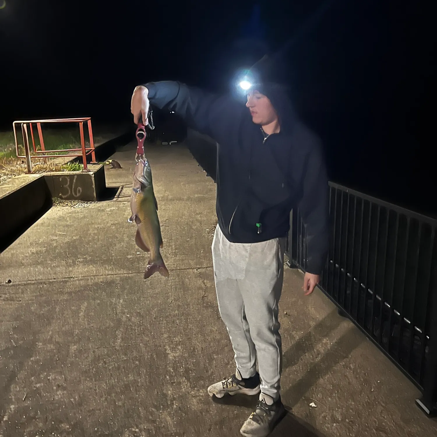 Channel catfish caught on Fishbrain