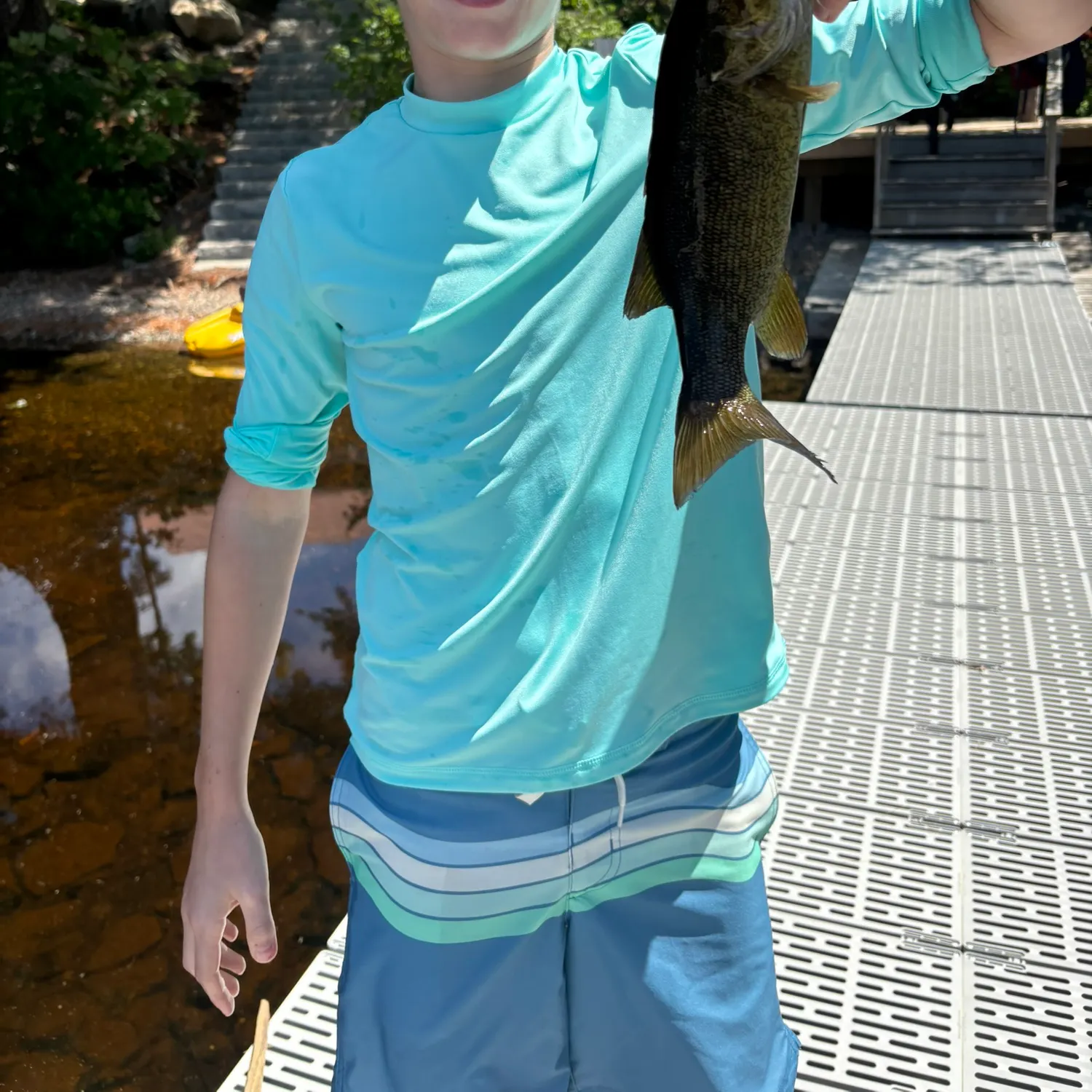 Smallmouth bass caught on Fishbrain