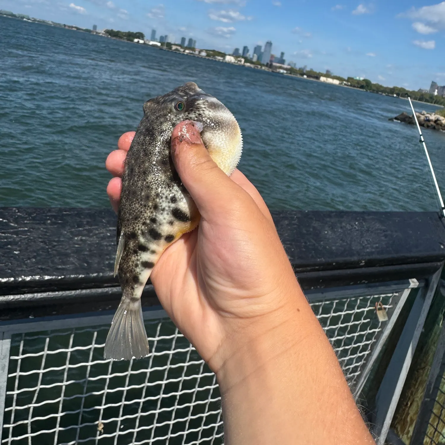 catch