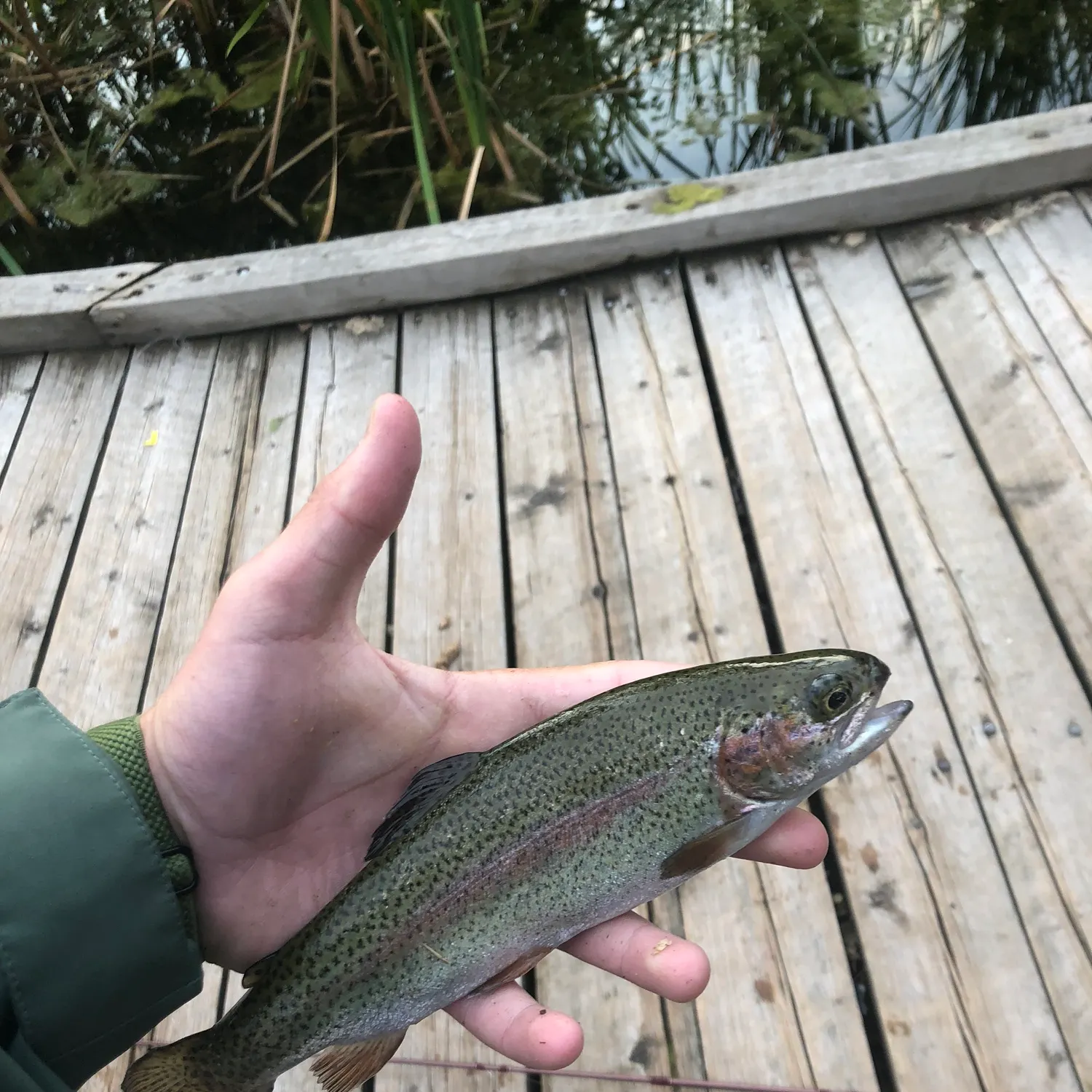 catch