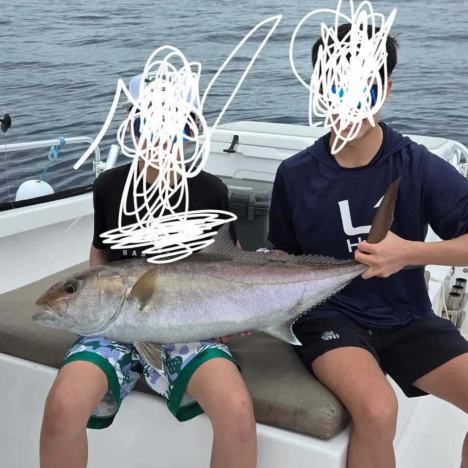 The most recent Greater amberjack catches on Fishbrain