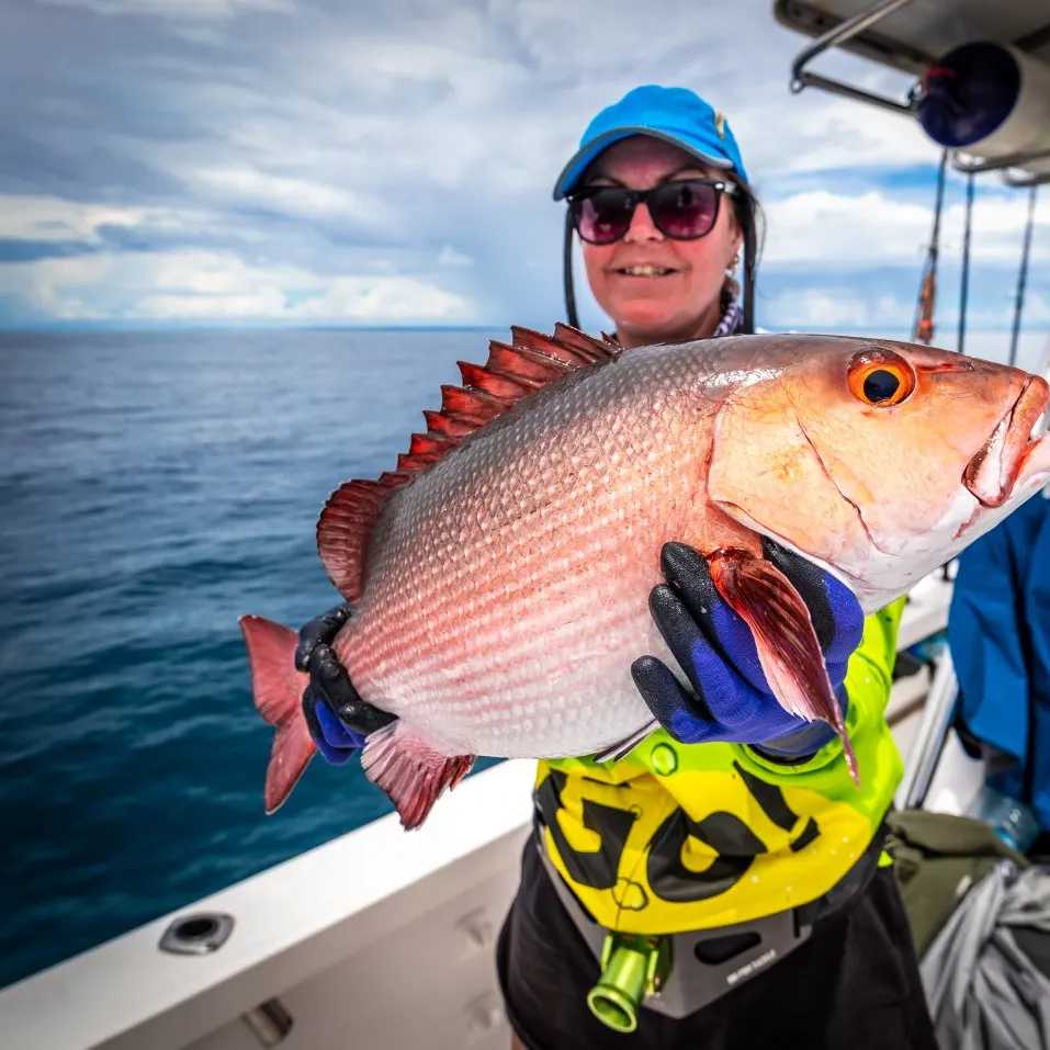 The most popular recent Two-spot red snapper catch on Fishbrain