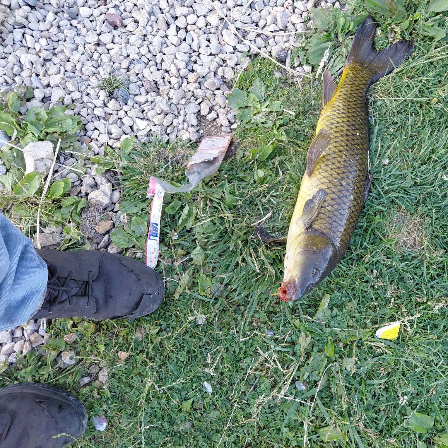 catch
