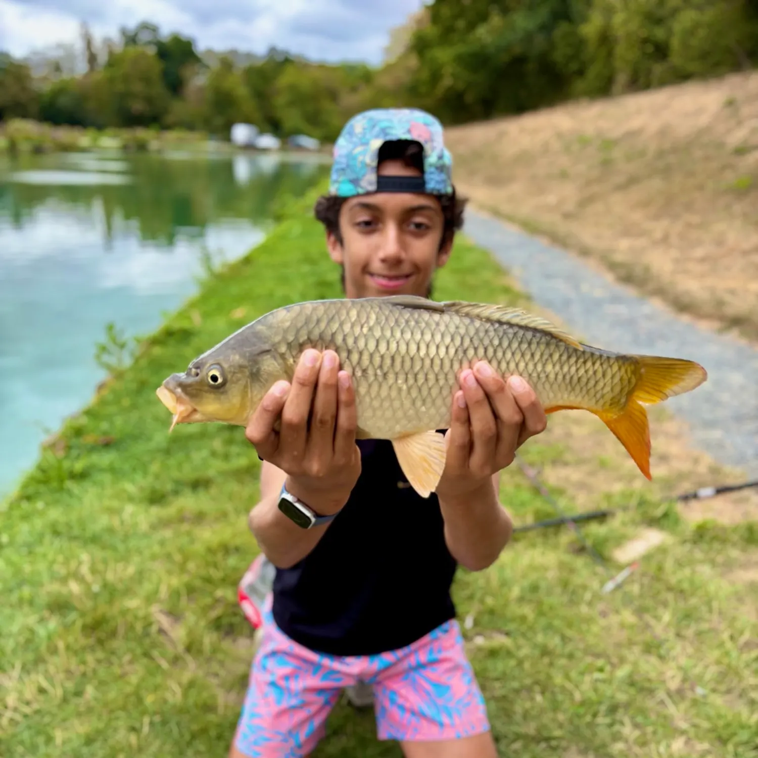Common carp caught on Fishbrain