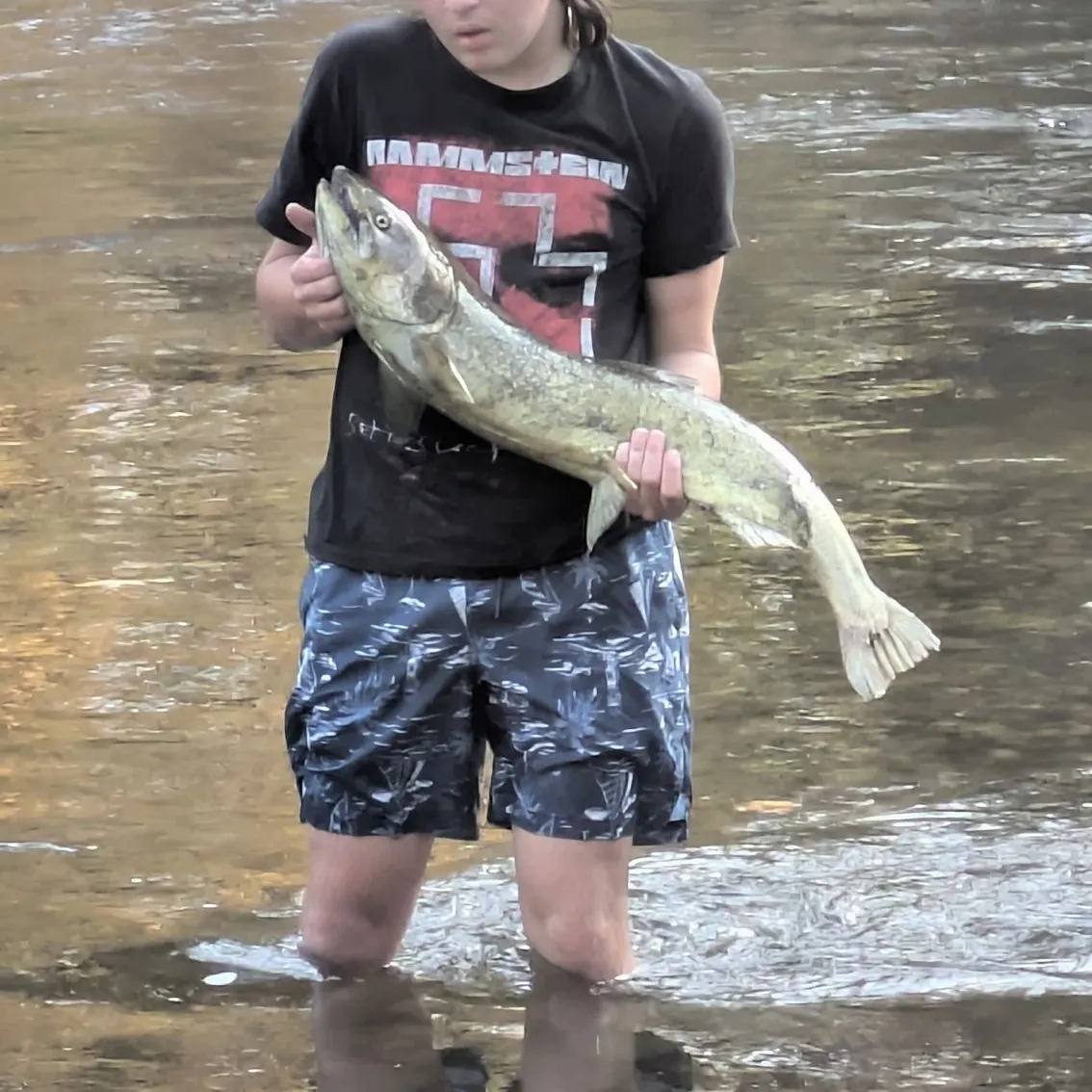 Chinook salmon caught on Fishbrain