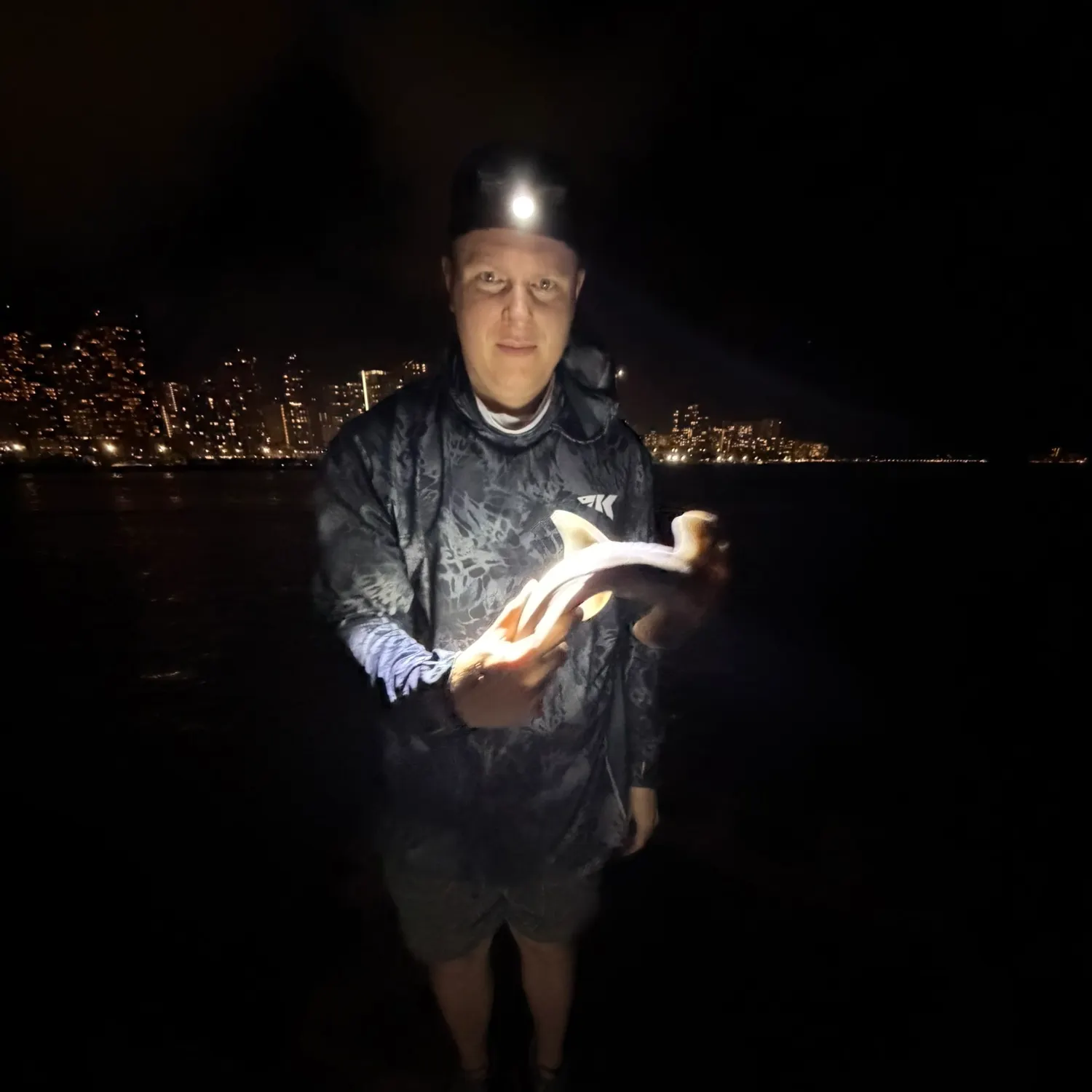 The most recent Scalloped hammerhead shark catches on Fishbrain