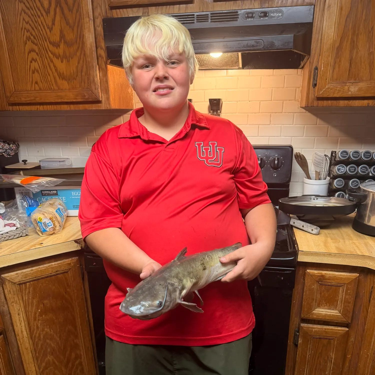 Channel catfish caught on Fishbrain