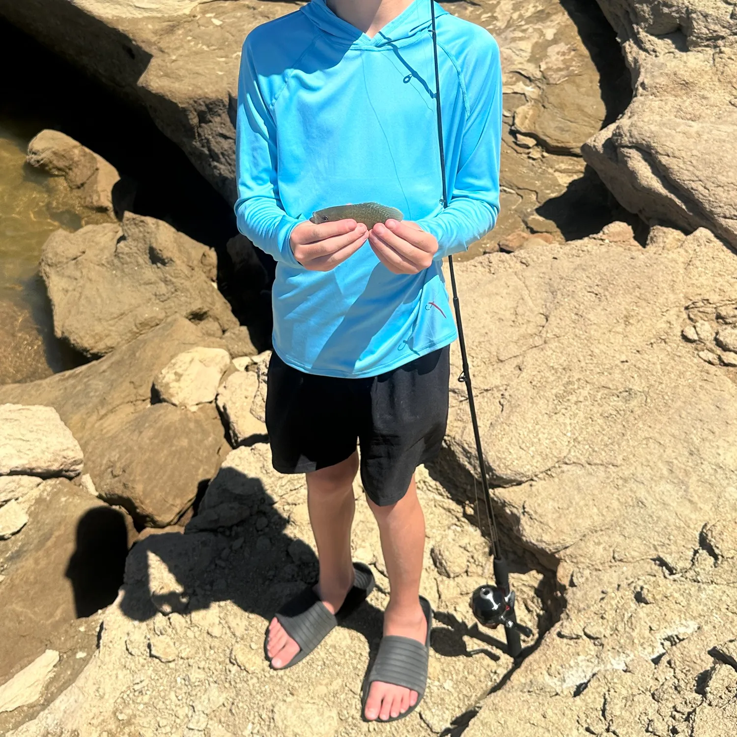 Bluegill caught on Fishbrain