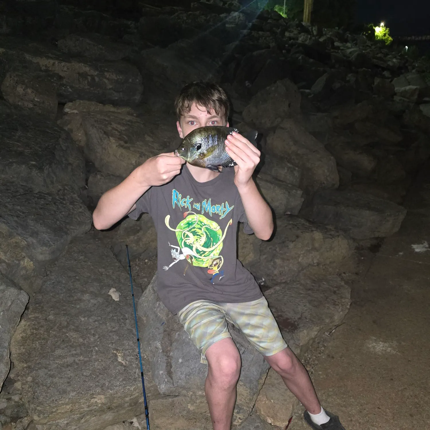 The most recent Bluegill x longear sunfish catches on Fishbrain