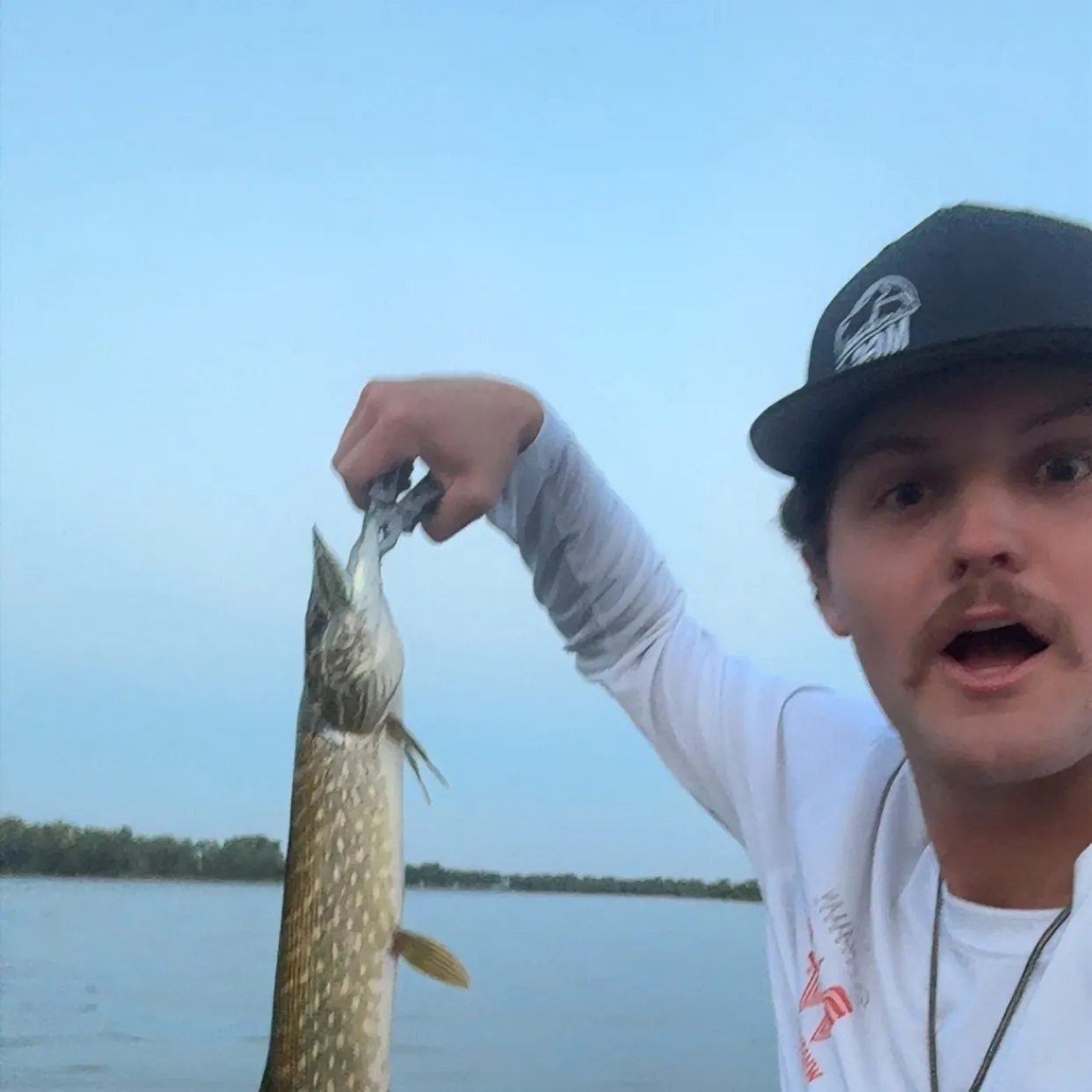 Northern pike caught on Fishbrain