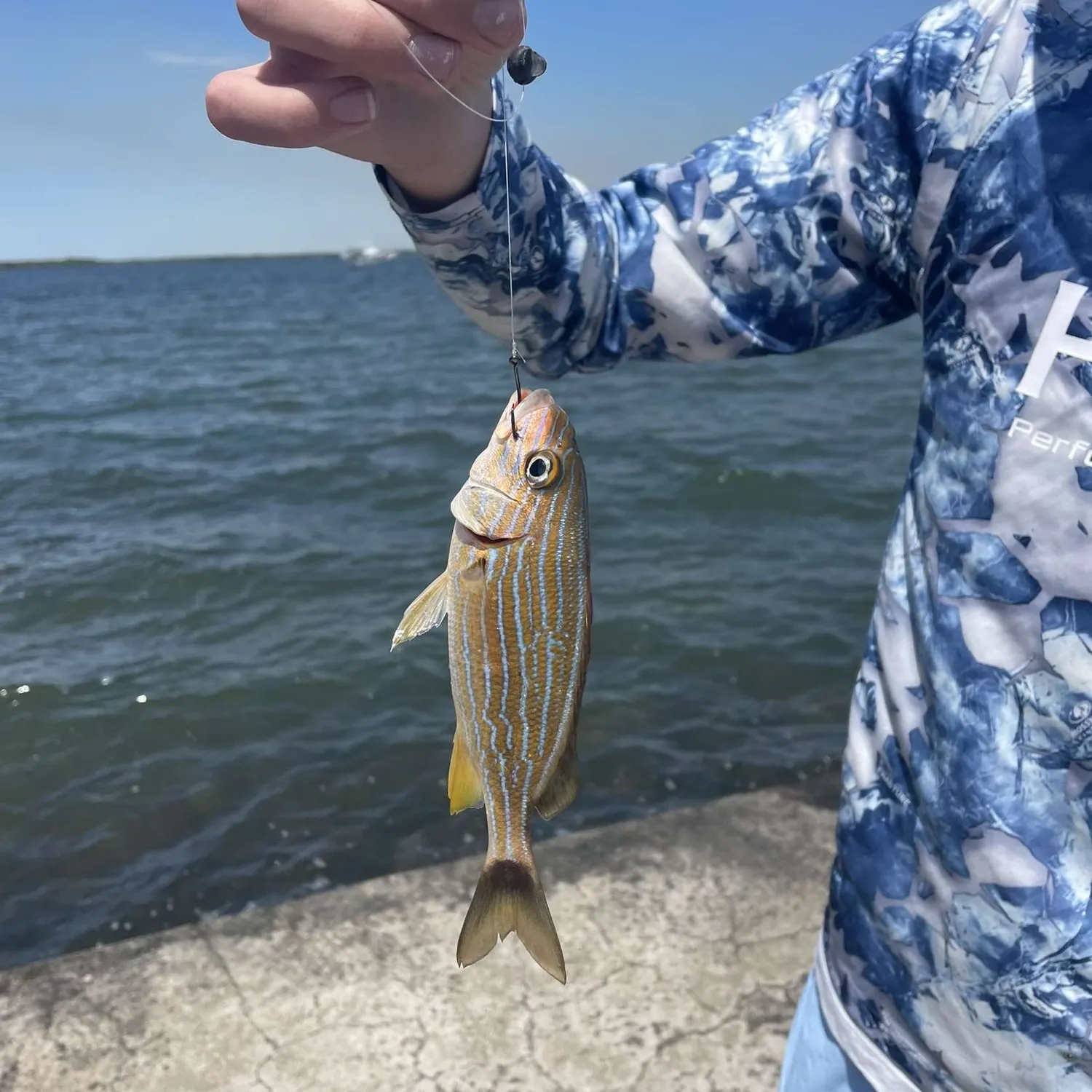 most liked catch image