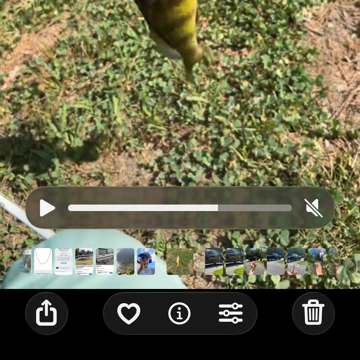 recently logged catches