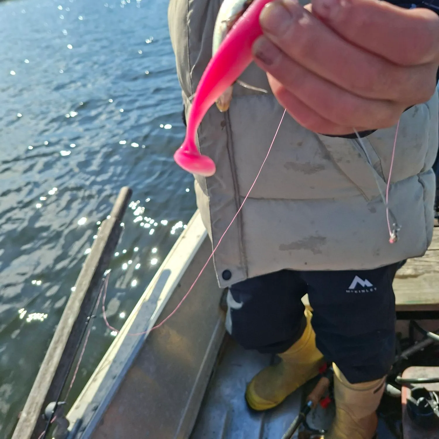 The most recent European whitefish catches on Fishbrain