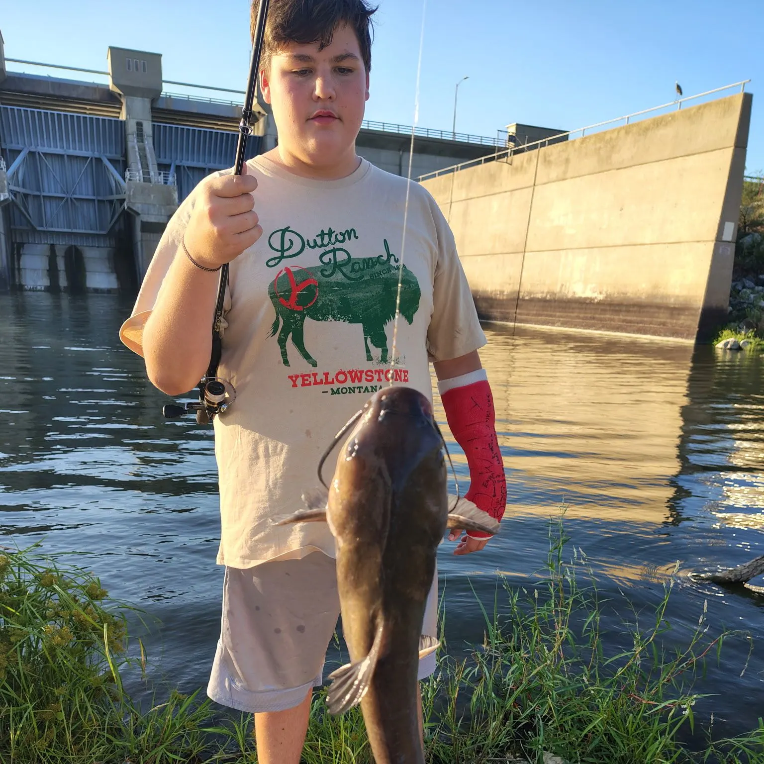 Channel catfish caught on Fishbrain