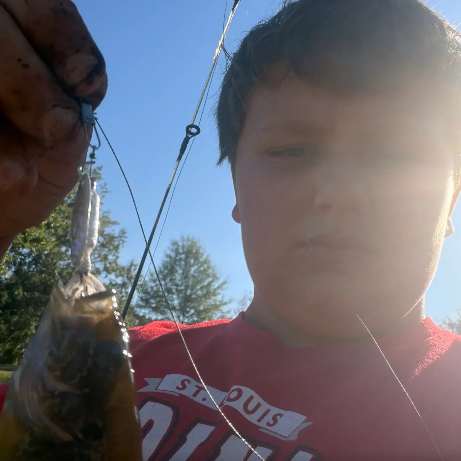 Greengill hybrid caught on Fishbrain