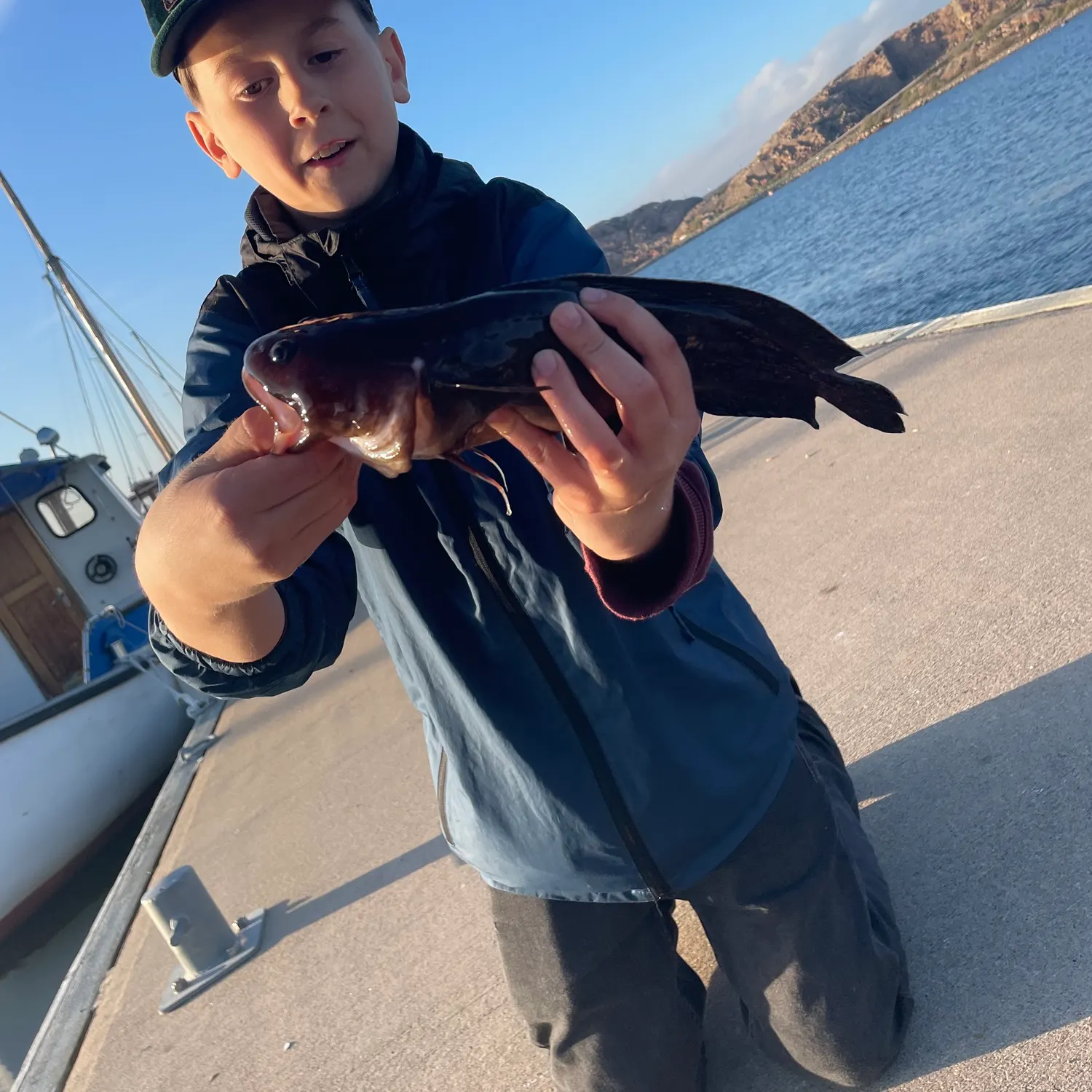 The most recent Tadpole fish catches on Fishbrain
