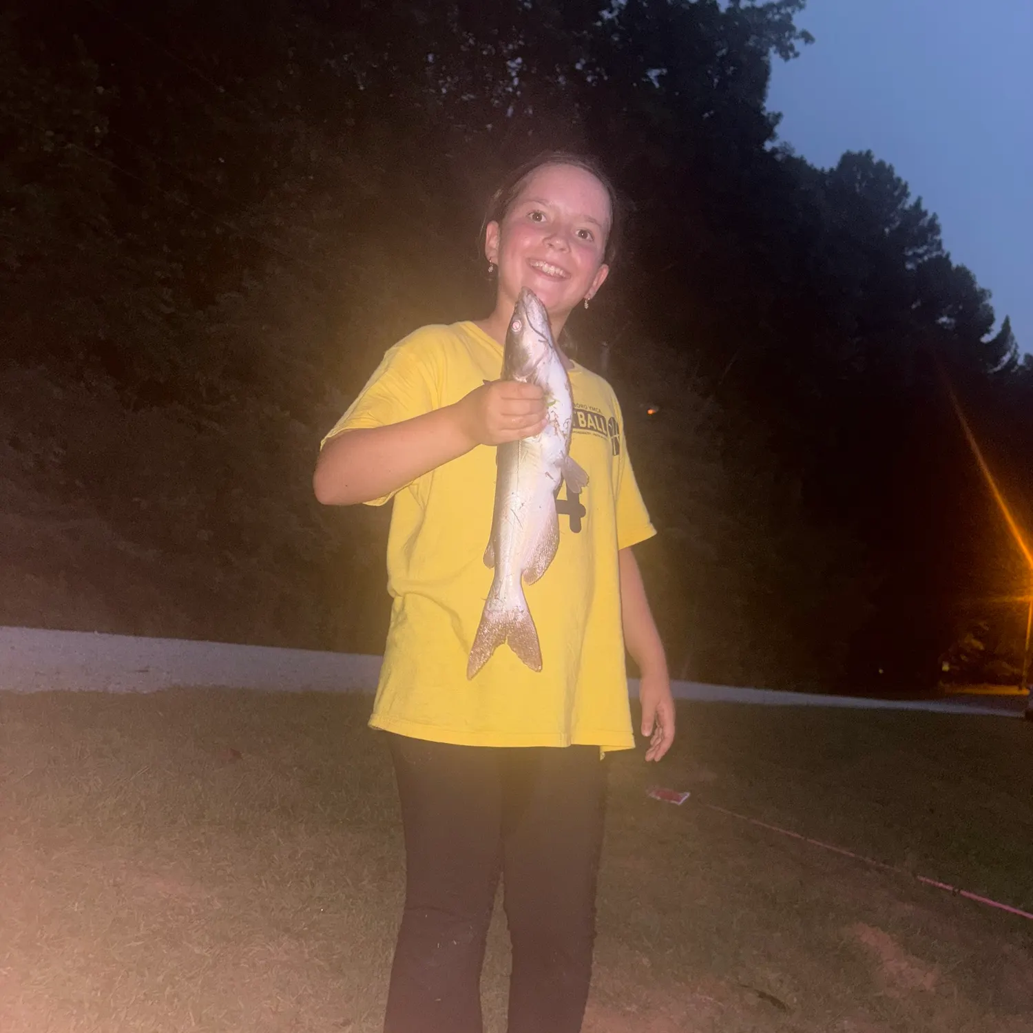 Fish caught on Fishbrain