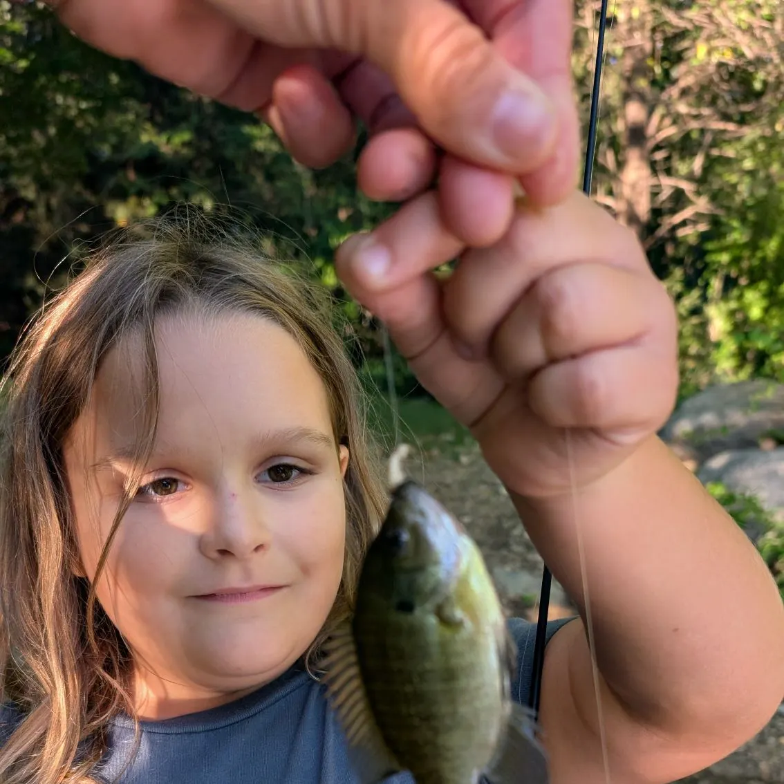 Redear sunfish caught on Fishbrain