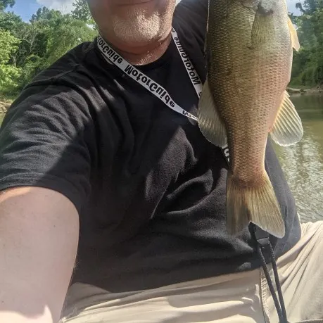angler catch