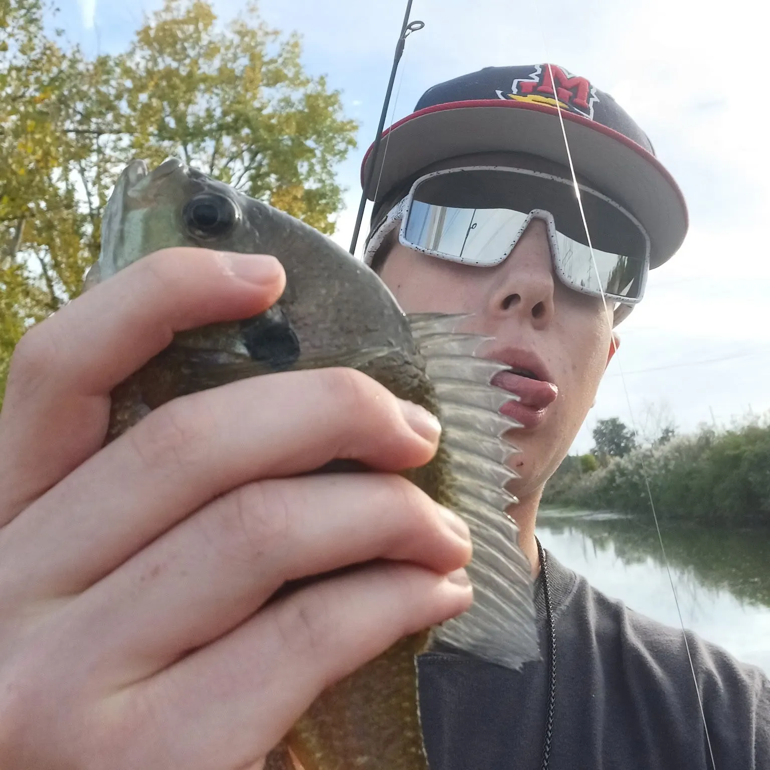 Bluegill caught on Fishbrain