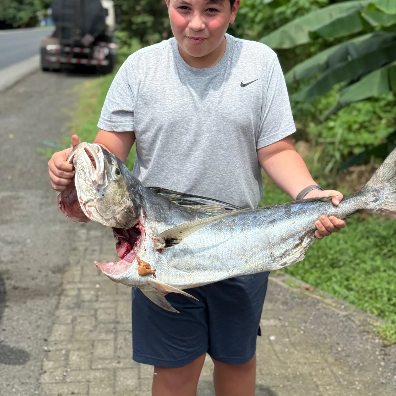 The most recent Roosterfish catches on Fishbrain