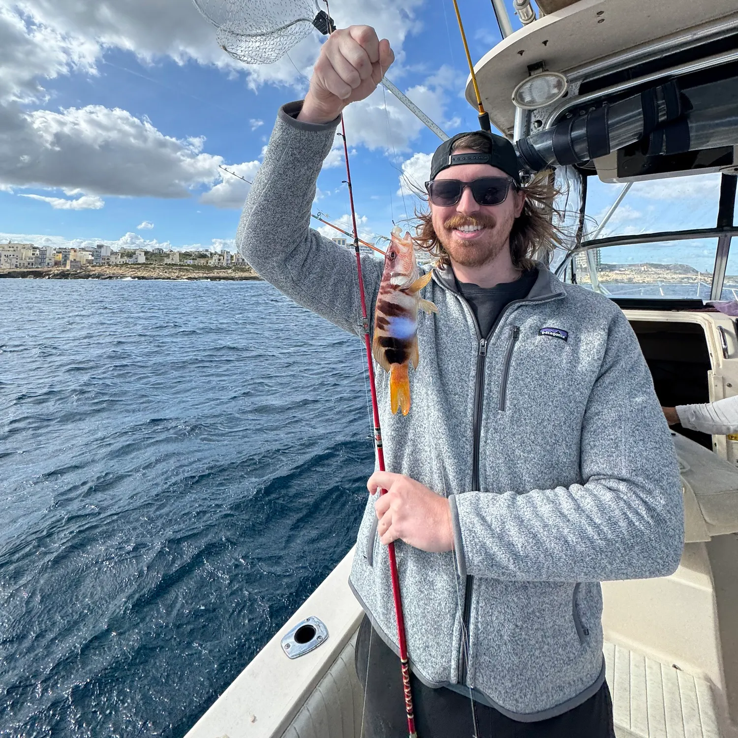 The most recent Painted comber catches on Fishbrain