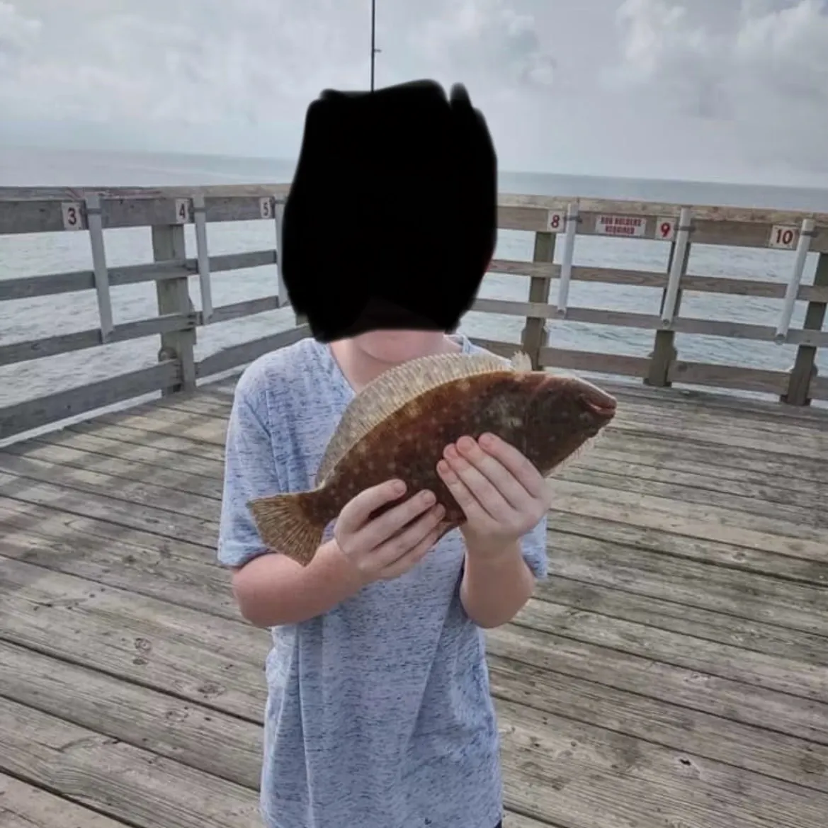 Summer flounder caught on Fishbrain