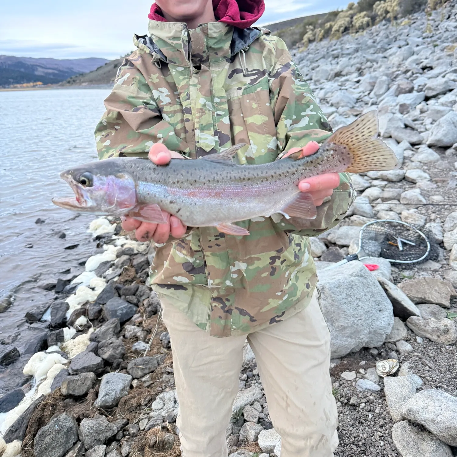 Cutbow caught on Fishbrain