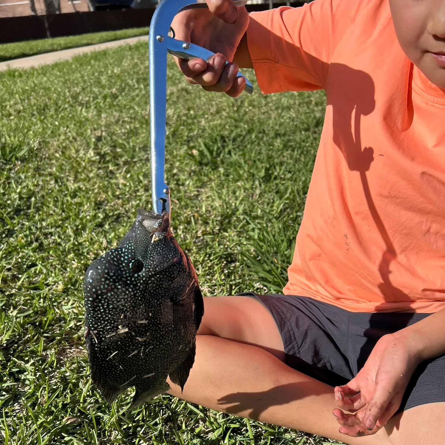 The most recent Rio Grande cichlid catches on Fishbrain