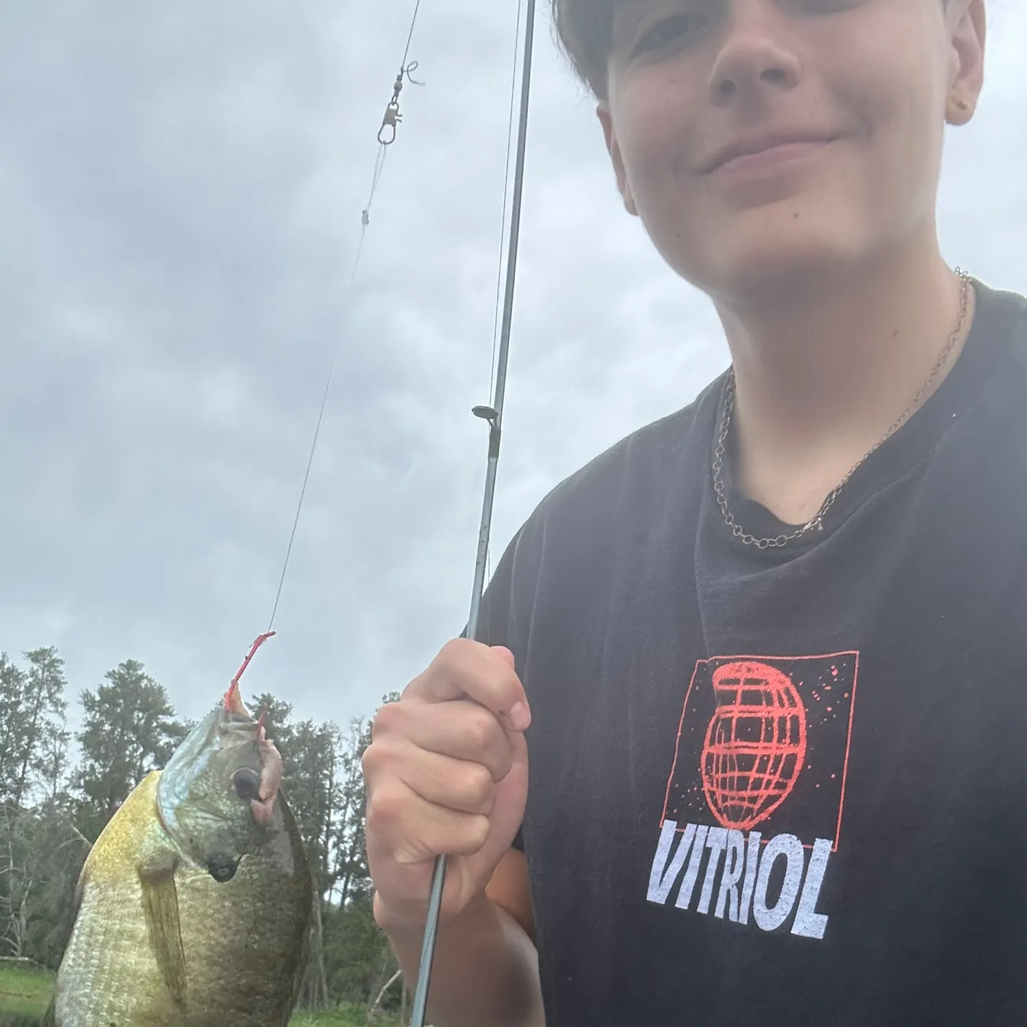 Bluegill caught on Fishbrain
