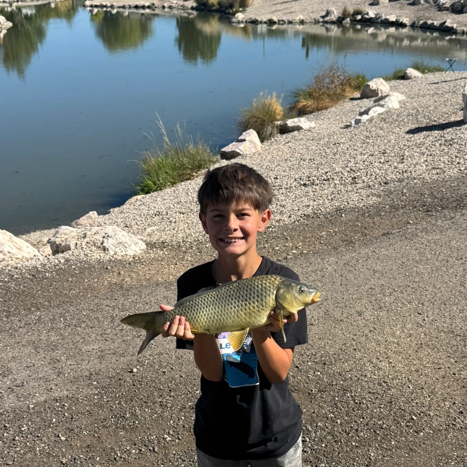Common carp caught on Fishbrain
