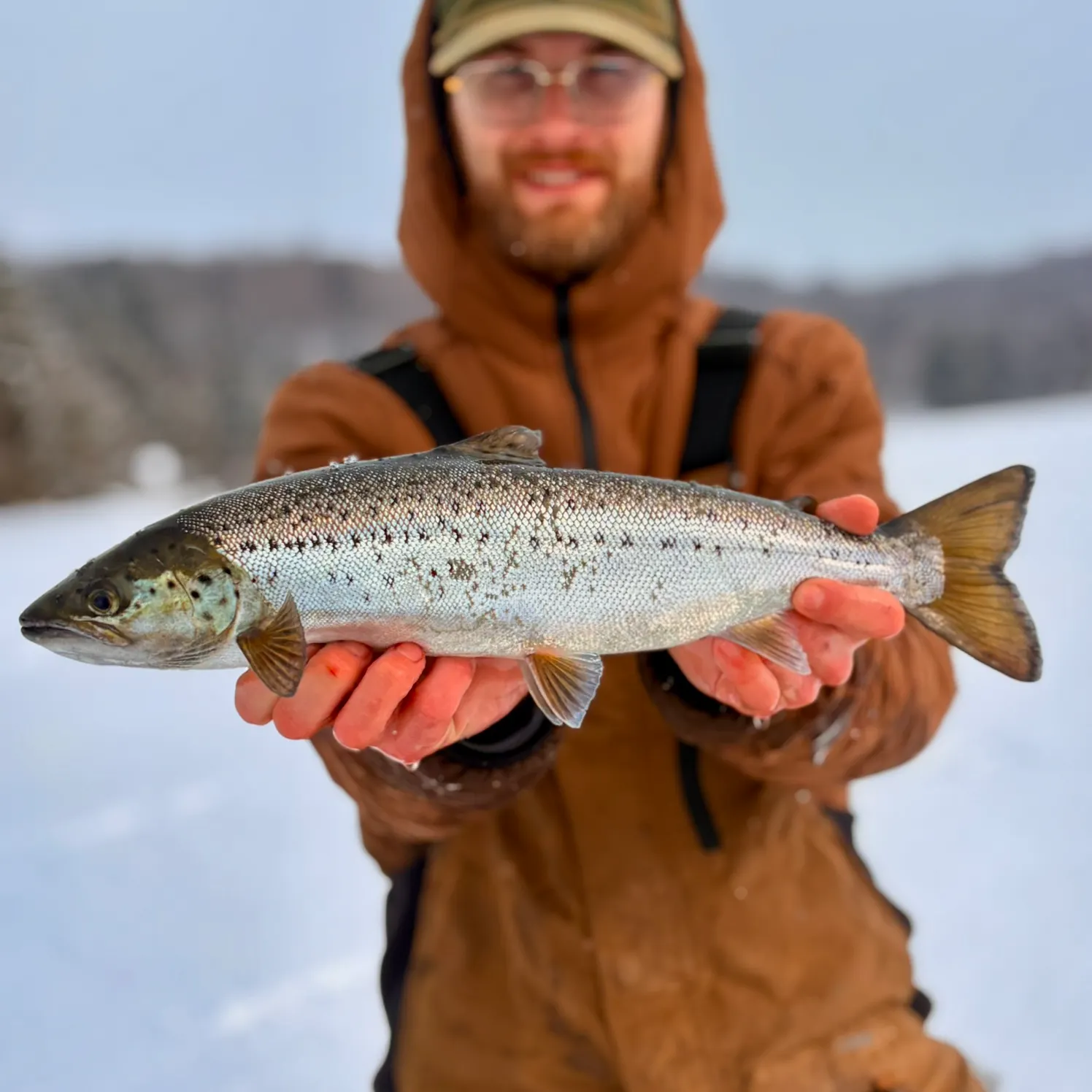 The most recent Landlocked atlantic salmon catches on Fishbrain