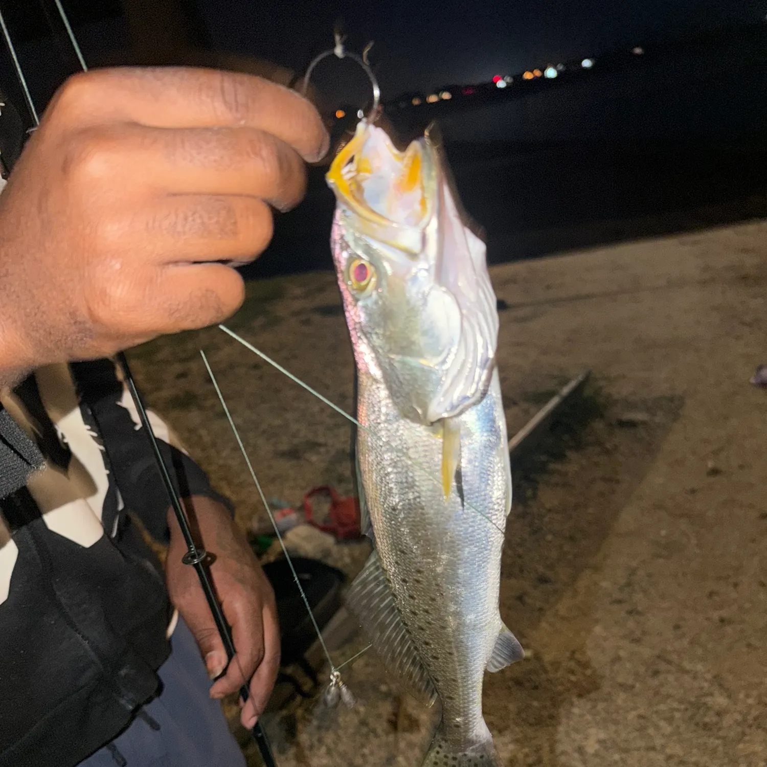 Spotted seatrout caught on Fishbrain