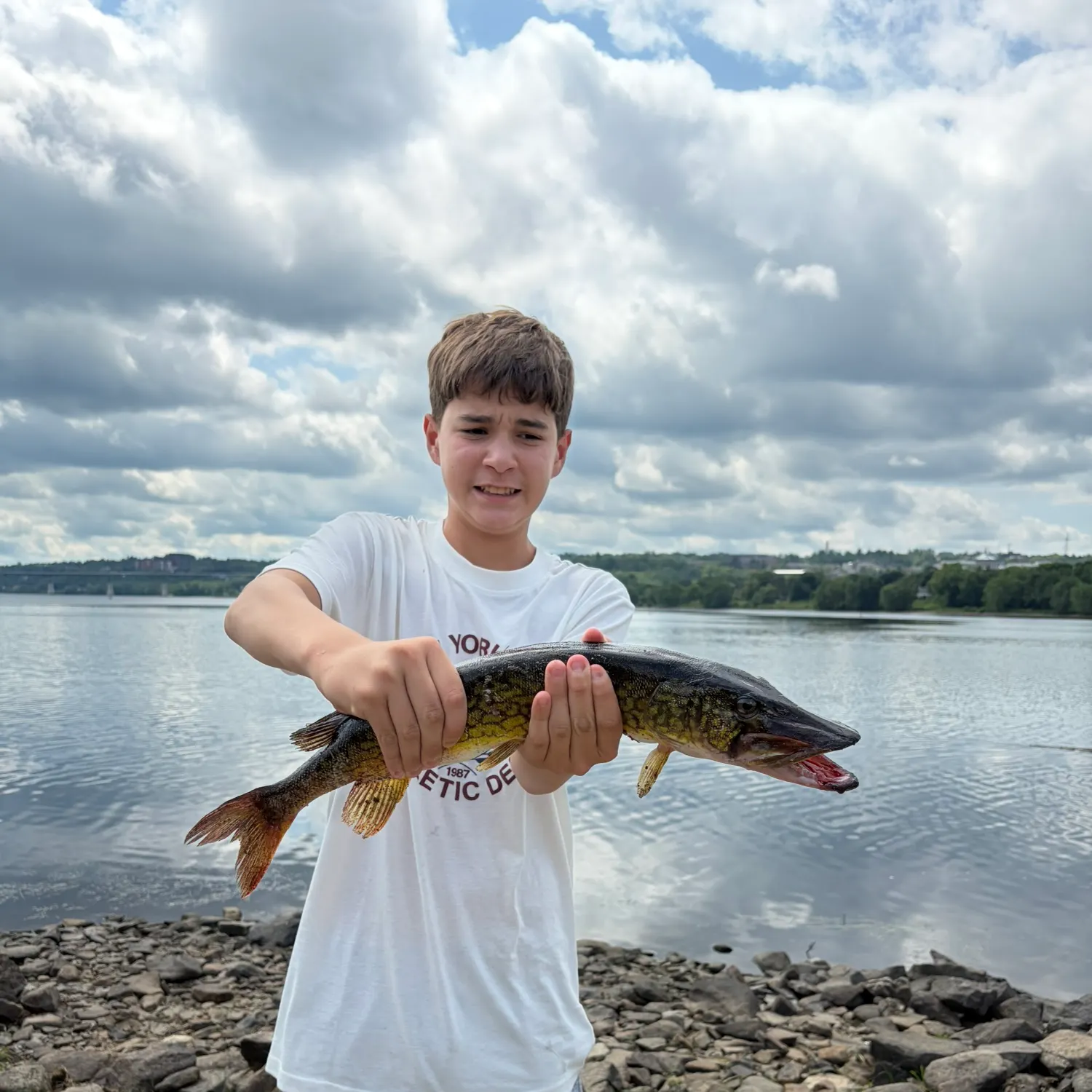 The most recent Northern pike x Chain pickerel catches on Fishbrain
